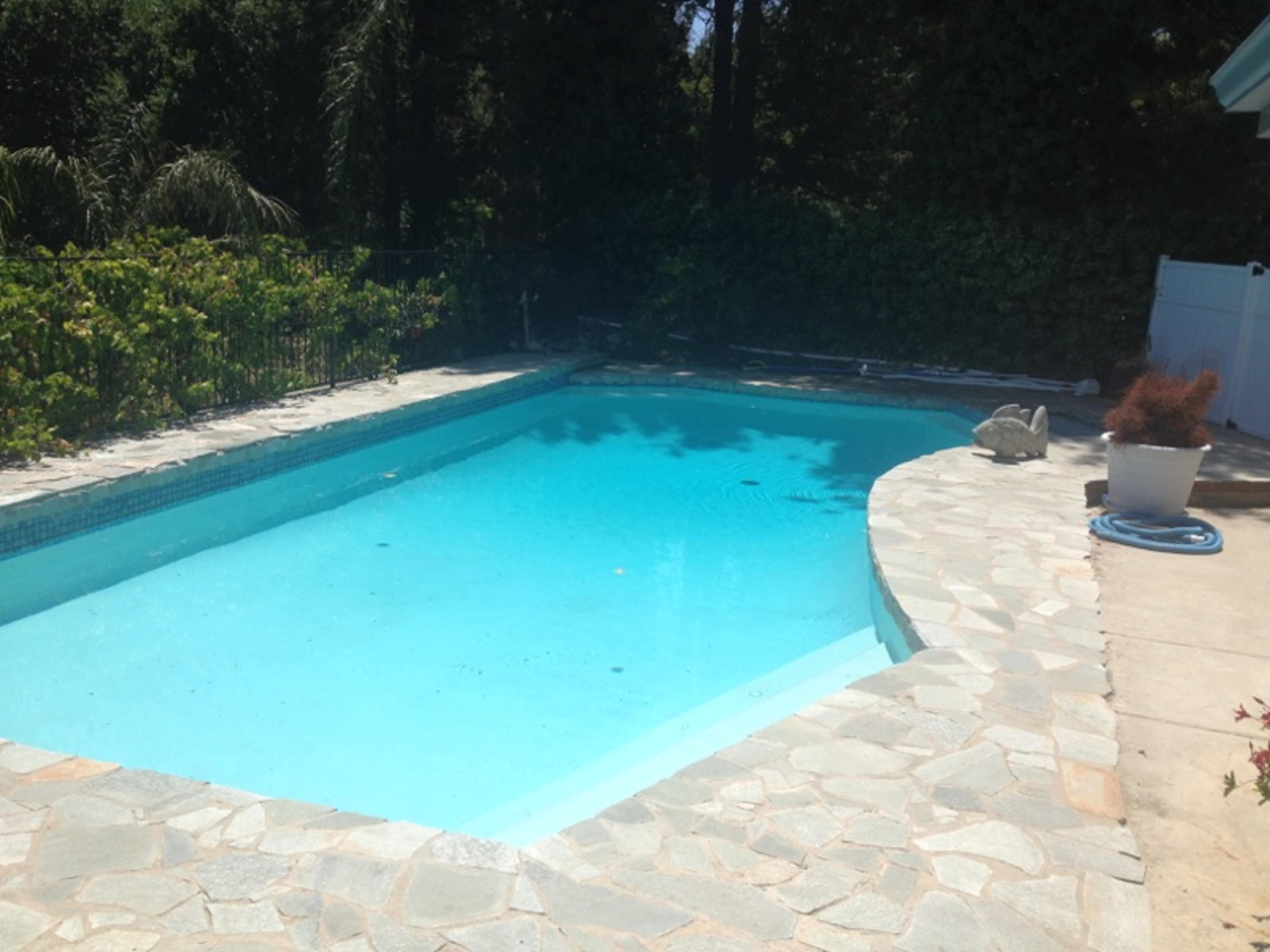 A rectangular swimming pool surrounded by stone decking and greenery in the background.