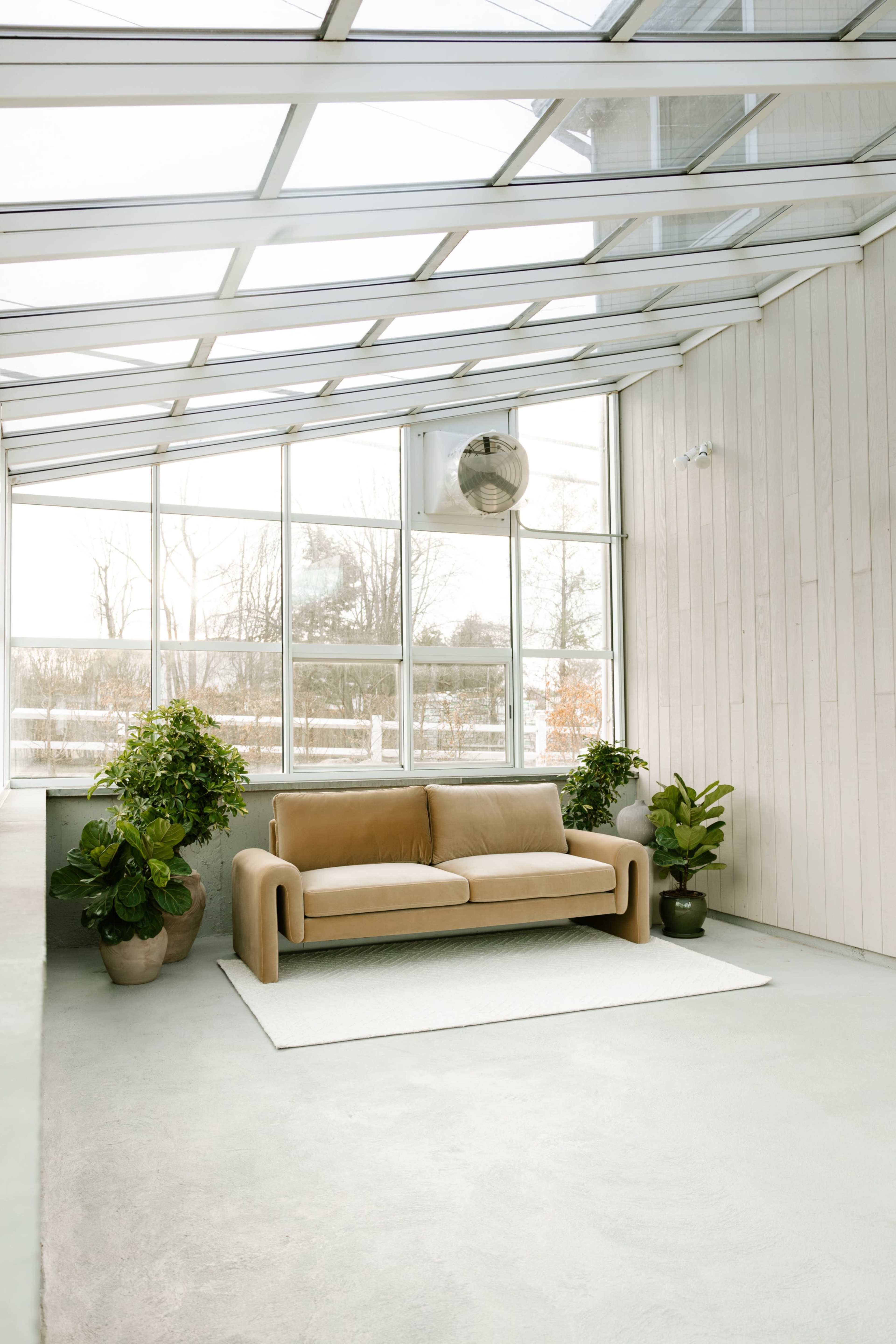 The image shows a sunlit room with a glass roof, featuring a beige sofa, two potted plants, and a light-colored rug on the concrete floor.