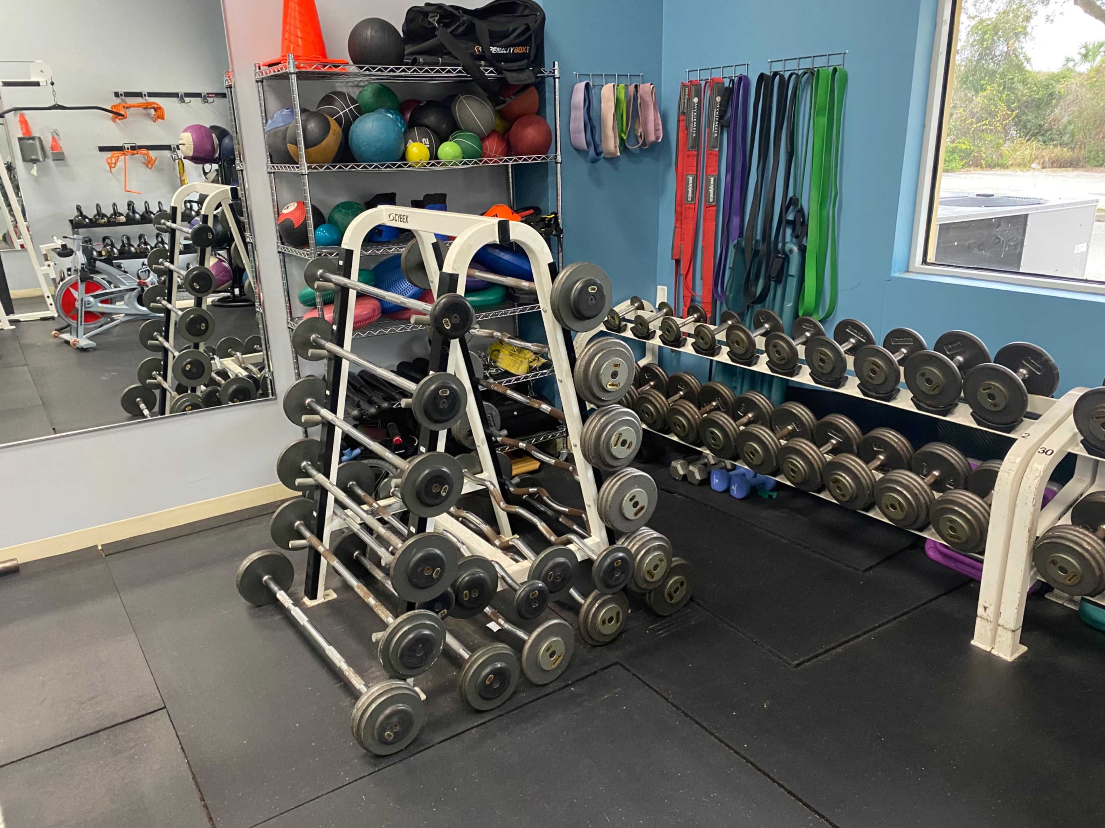 A small gym area with a rack of dumbbells, exercise balls, resistance bands, and weight training equipment against a blue wall.