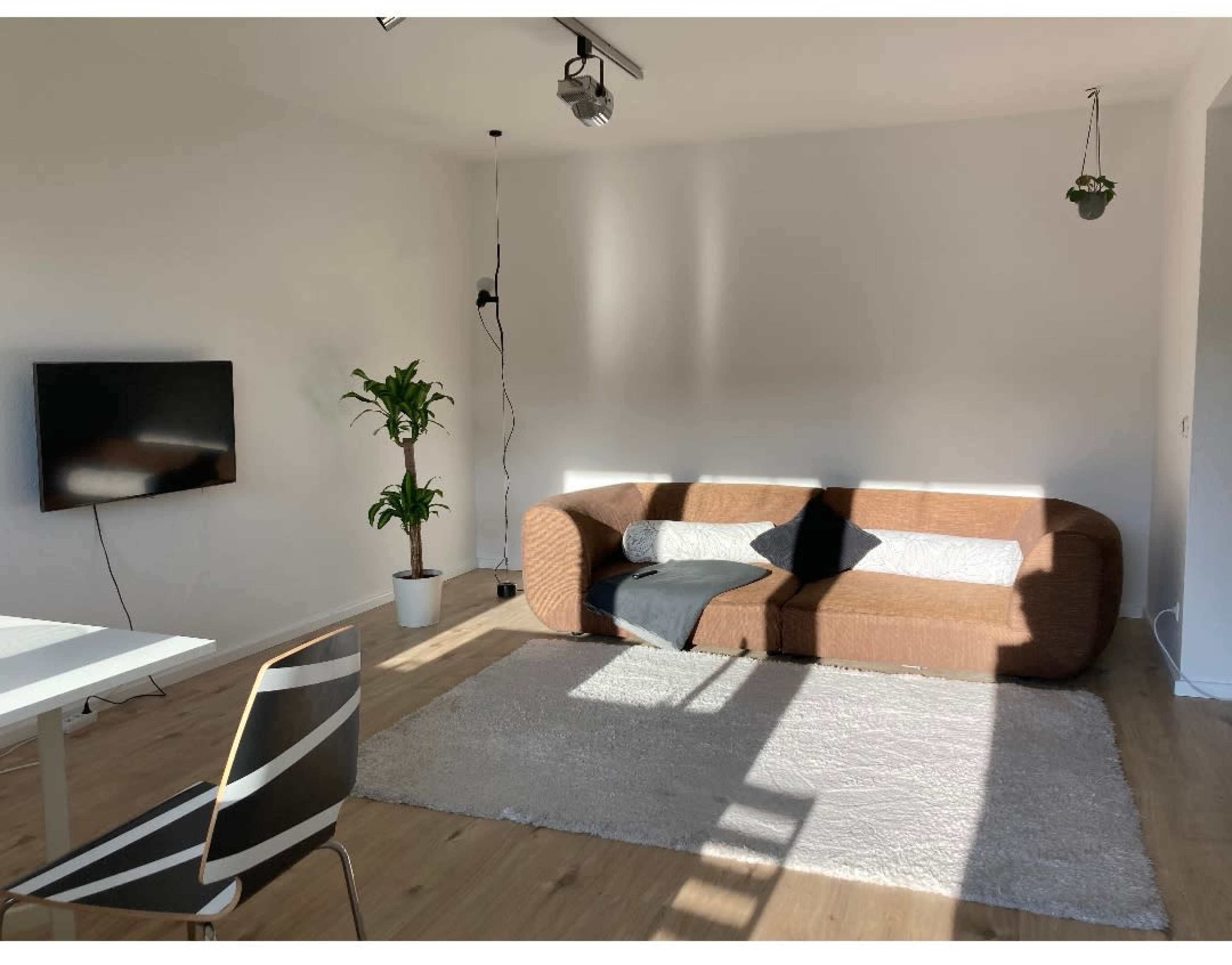 A minimalist living room with a brown couch, a television mounted on the wall, a white table, and a potted plant, all arranged on a light-colored rug.