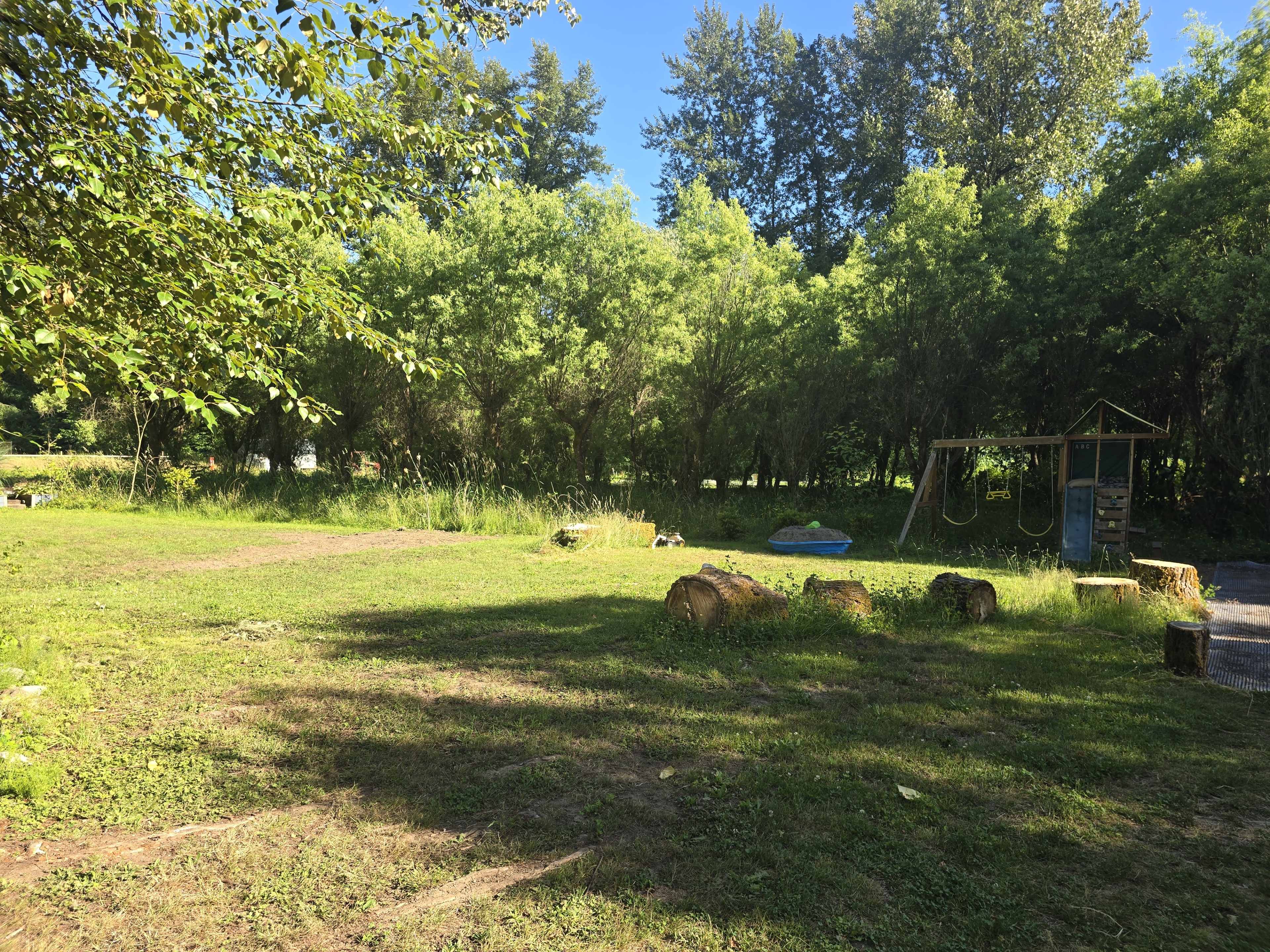 The scene depicts a grassy area with cut tree stumps and a swing set surrounded by dense green trees.