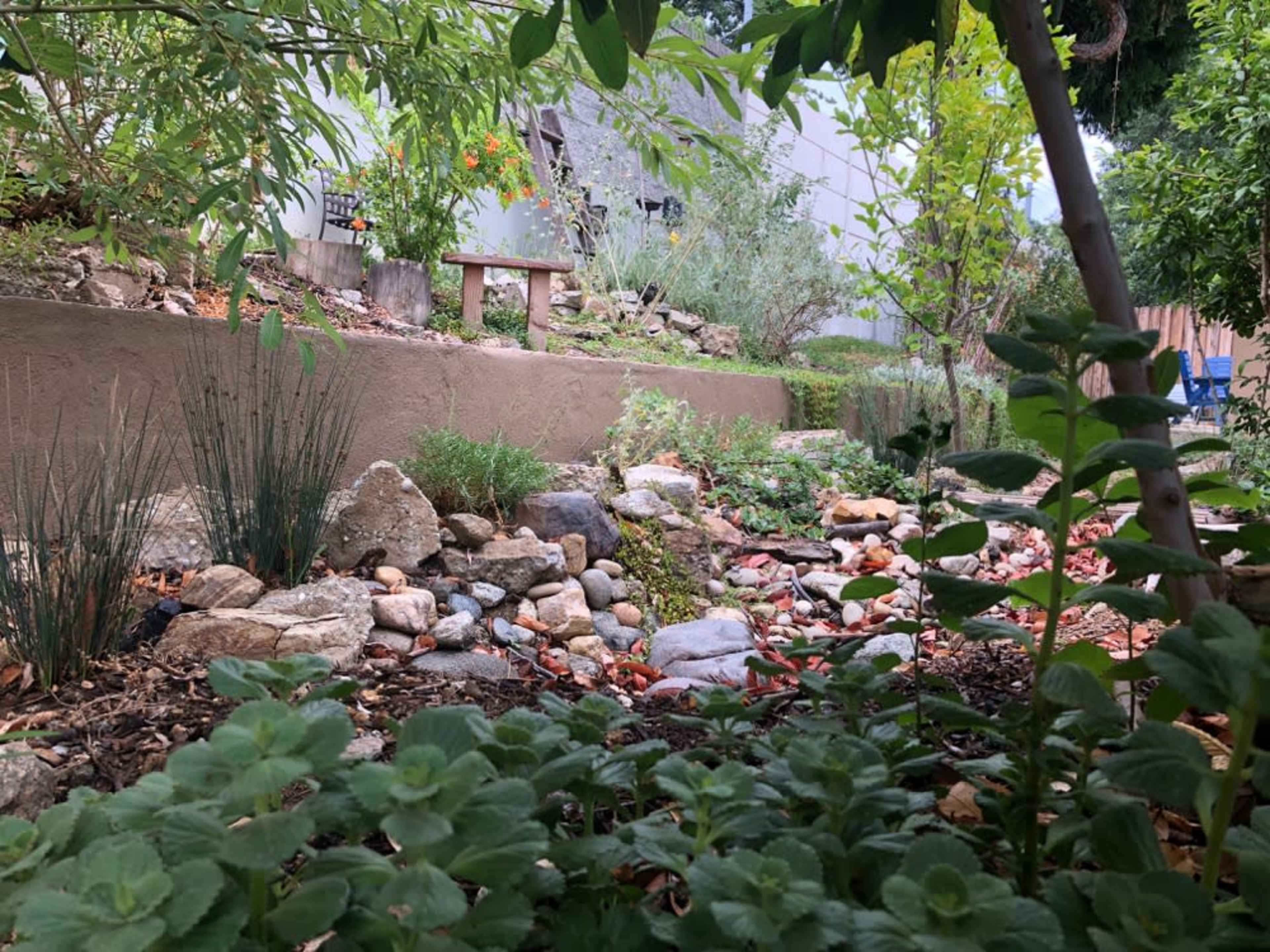 Meditation-relaxation for Focus Break