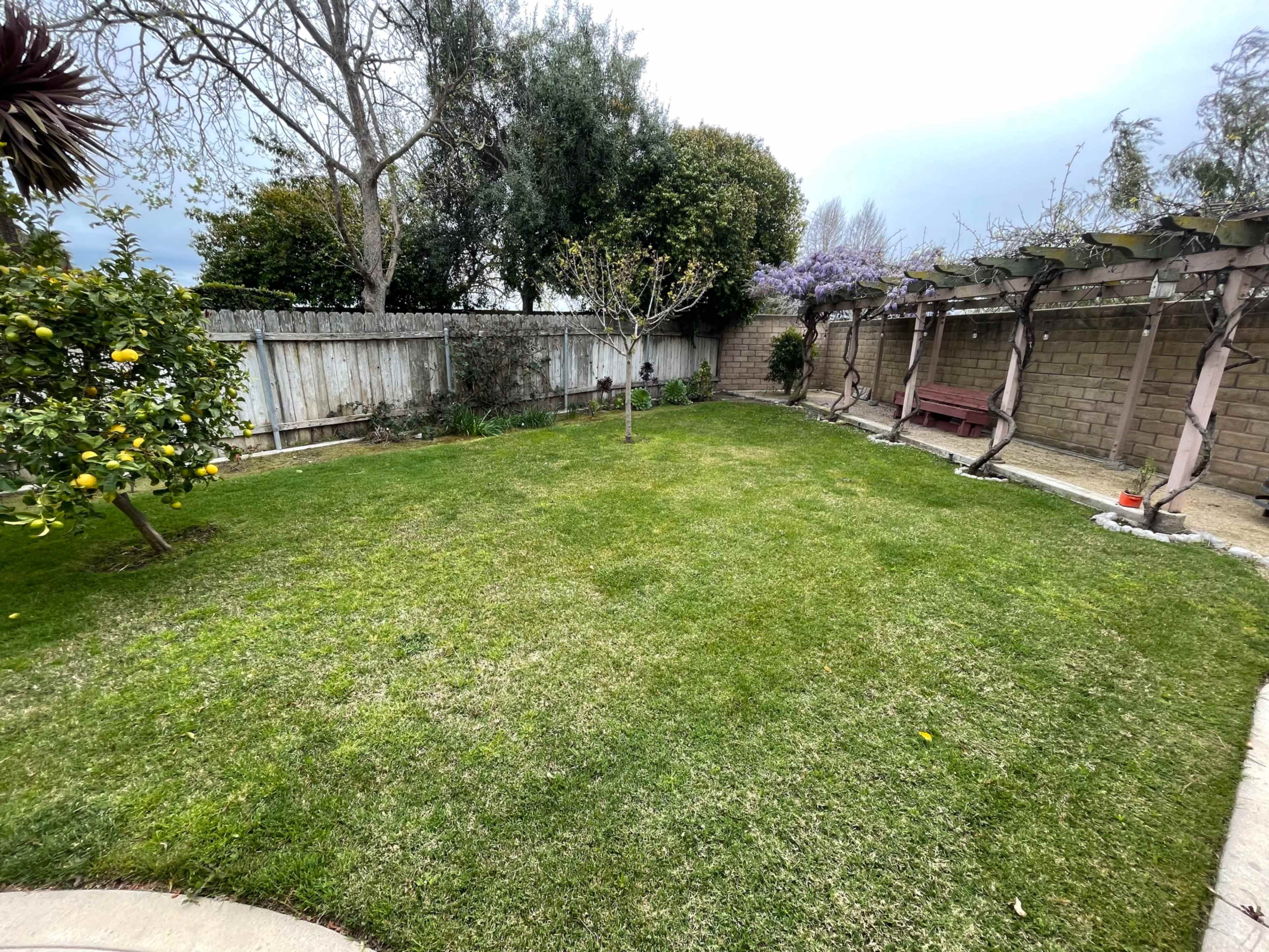 A neatly maintained backyard with grassy areas, trees, and a seating area near a wall.