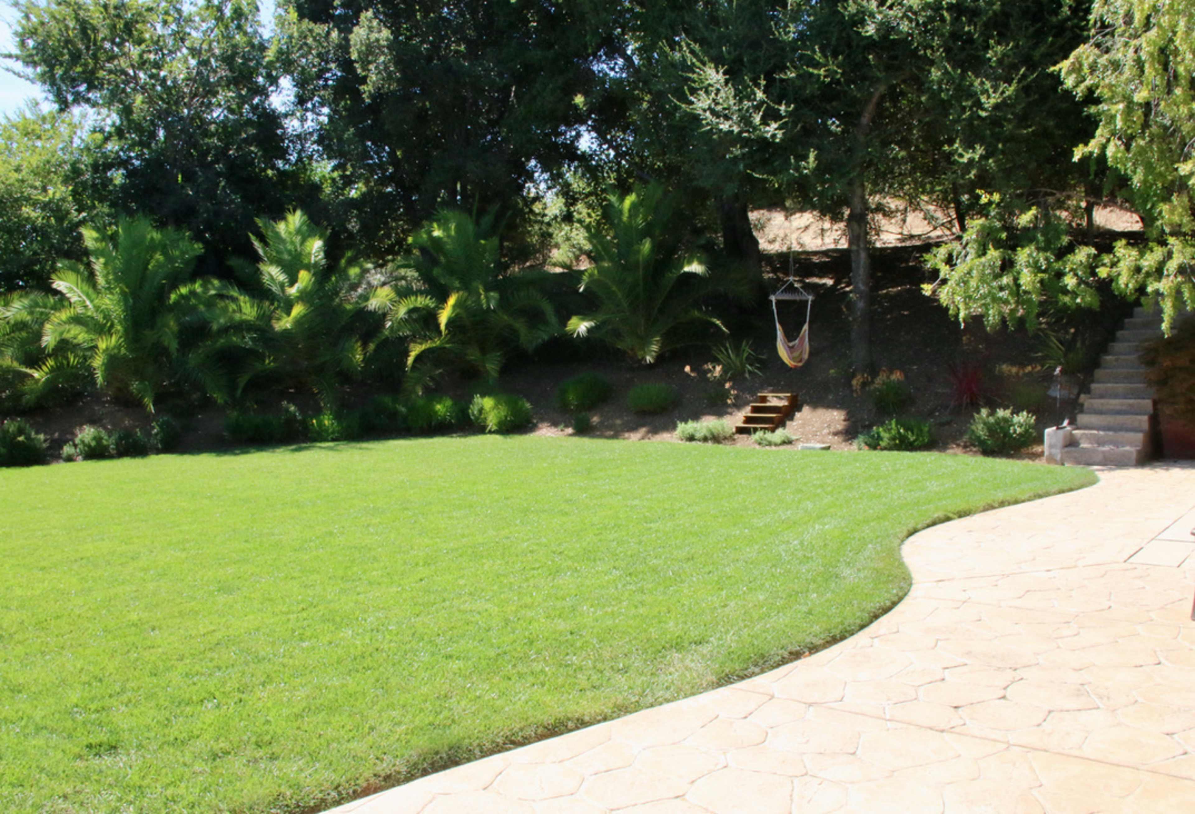 A landscaped backyard with a smooth stone walkway, a well-maintained lawn, and a hammock hanging near a group of trees.