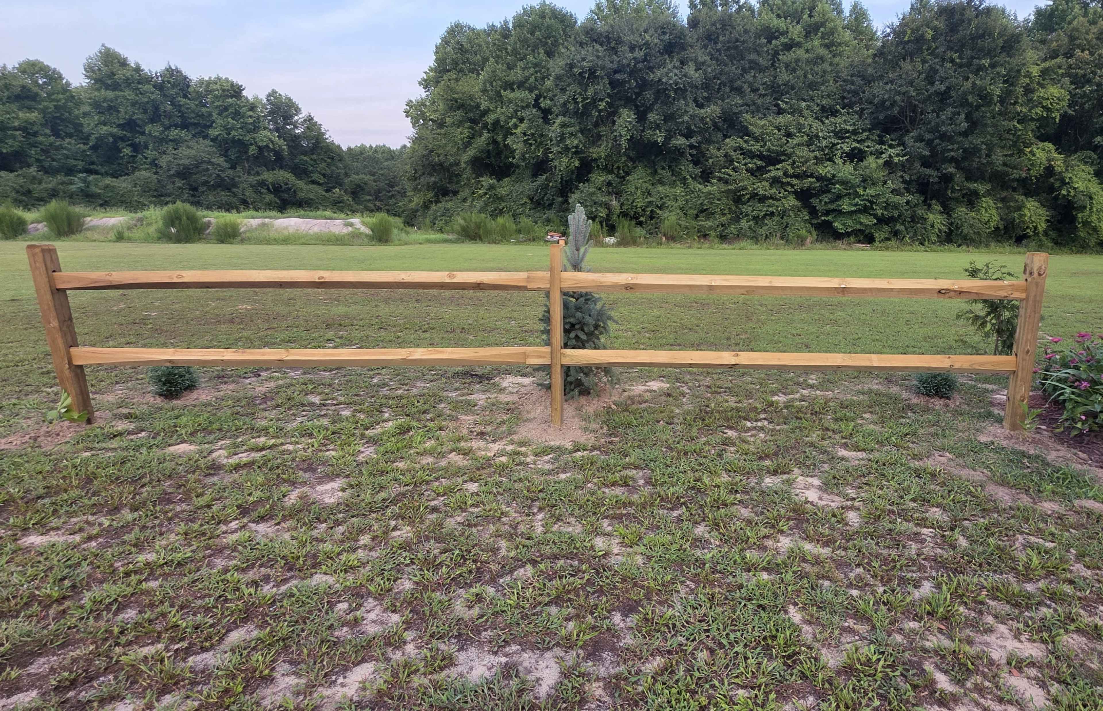 A wooden fence spans across a grassy area, bordered by low shrubs and trees in the background.