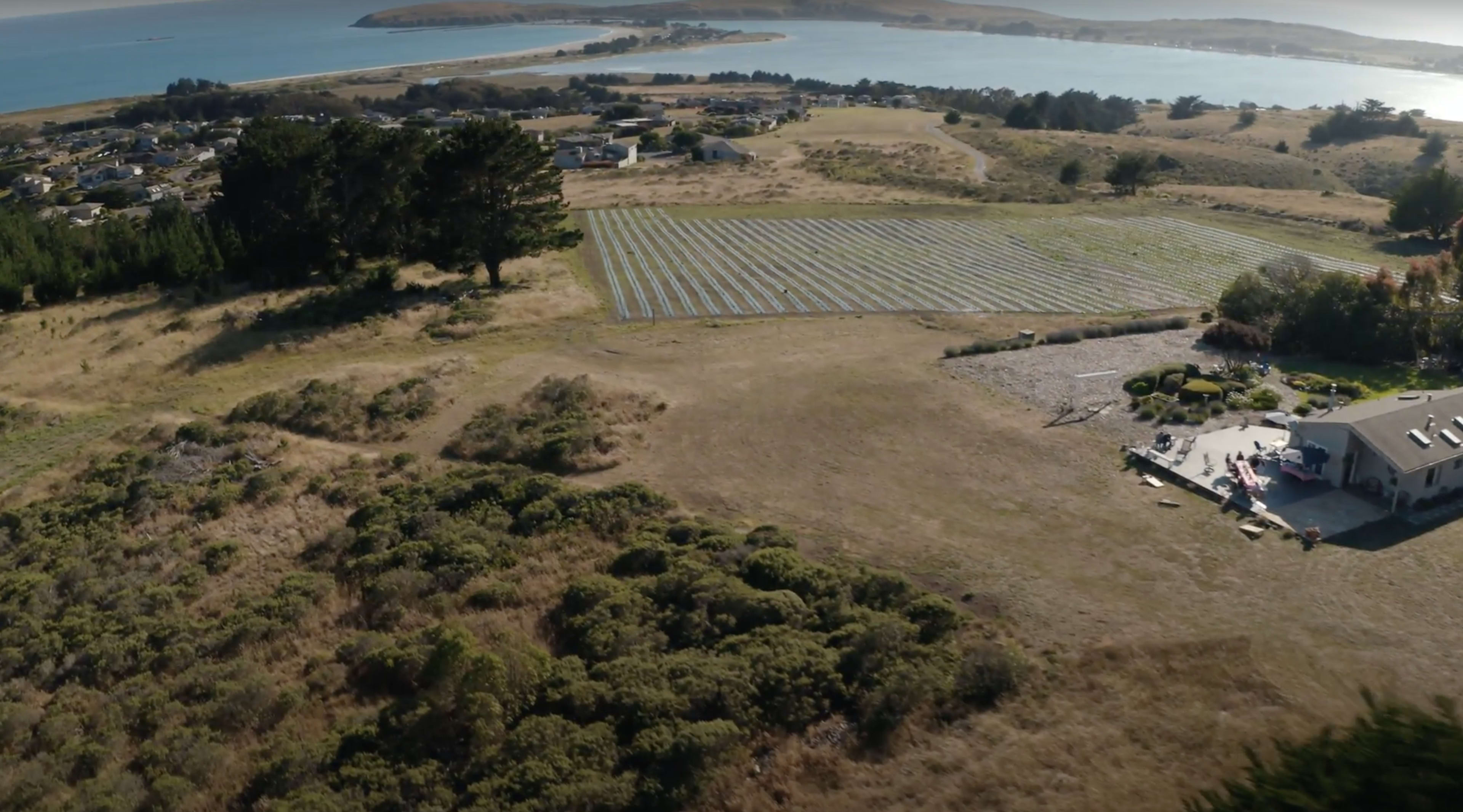 An aerial view of a coastal landscape with a vineyard, a residential area, and water in the background.