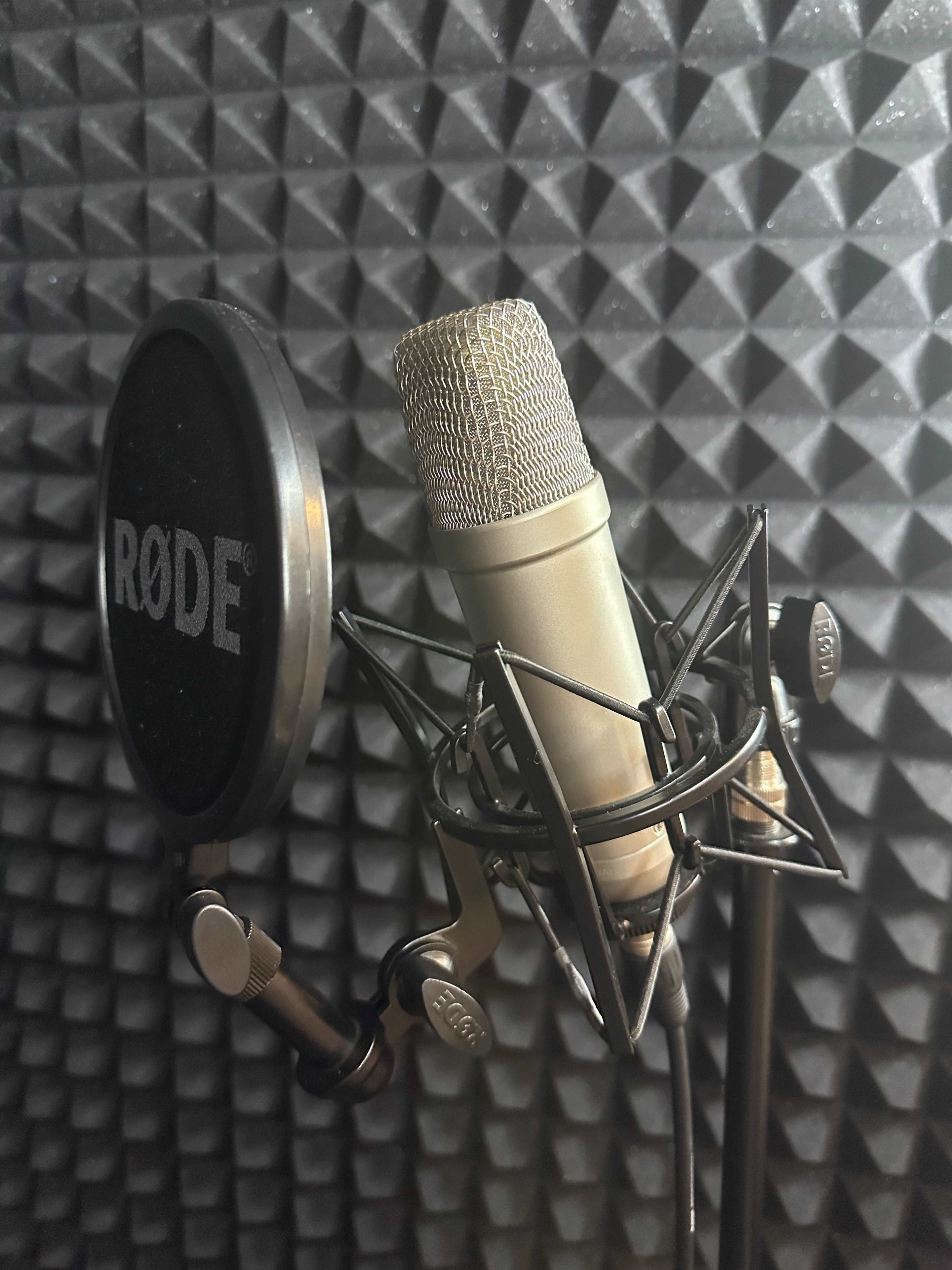 A microphone is positioned in front of a textured soundproof panel with a pop filter attached.