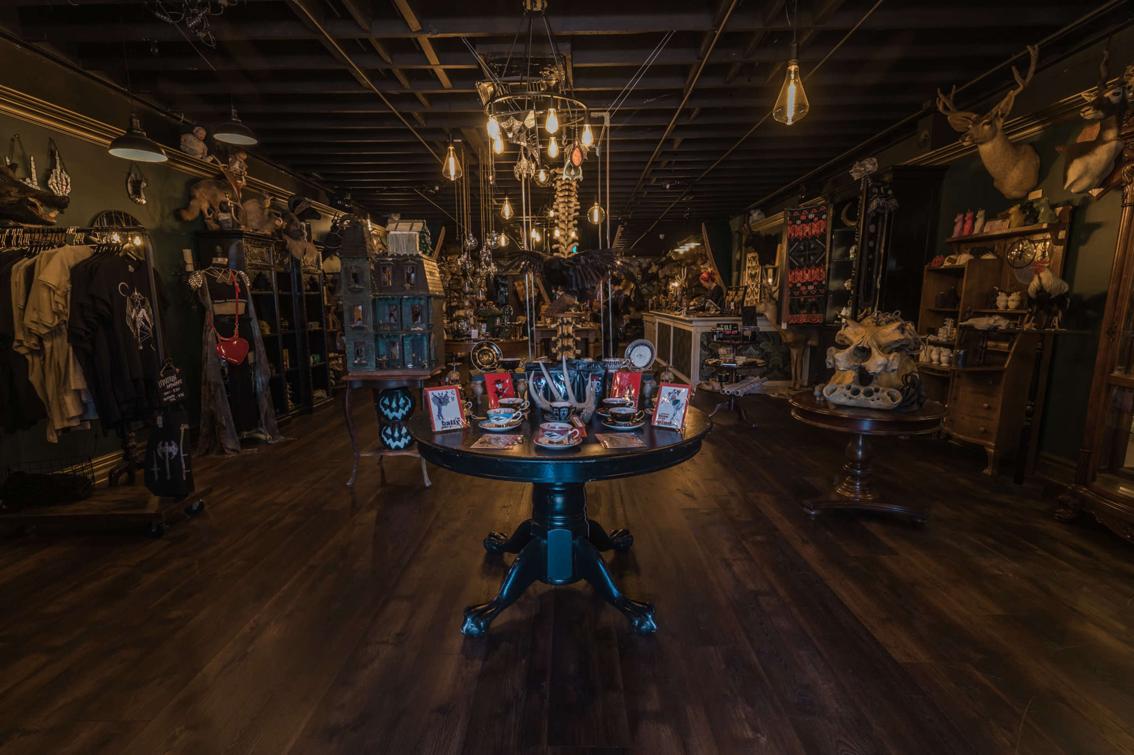 Eclectic, Vintage room with taxidermy and oddities Image in Burbank, Burbank, CA