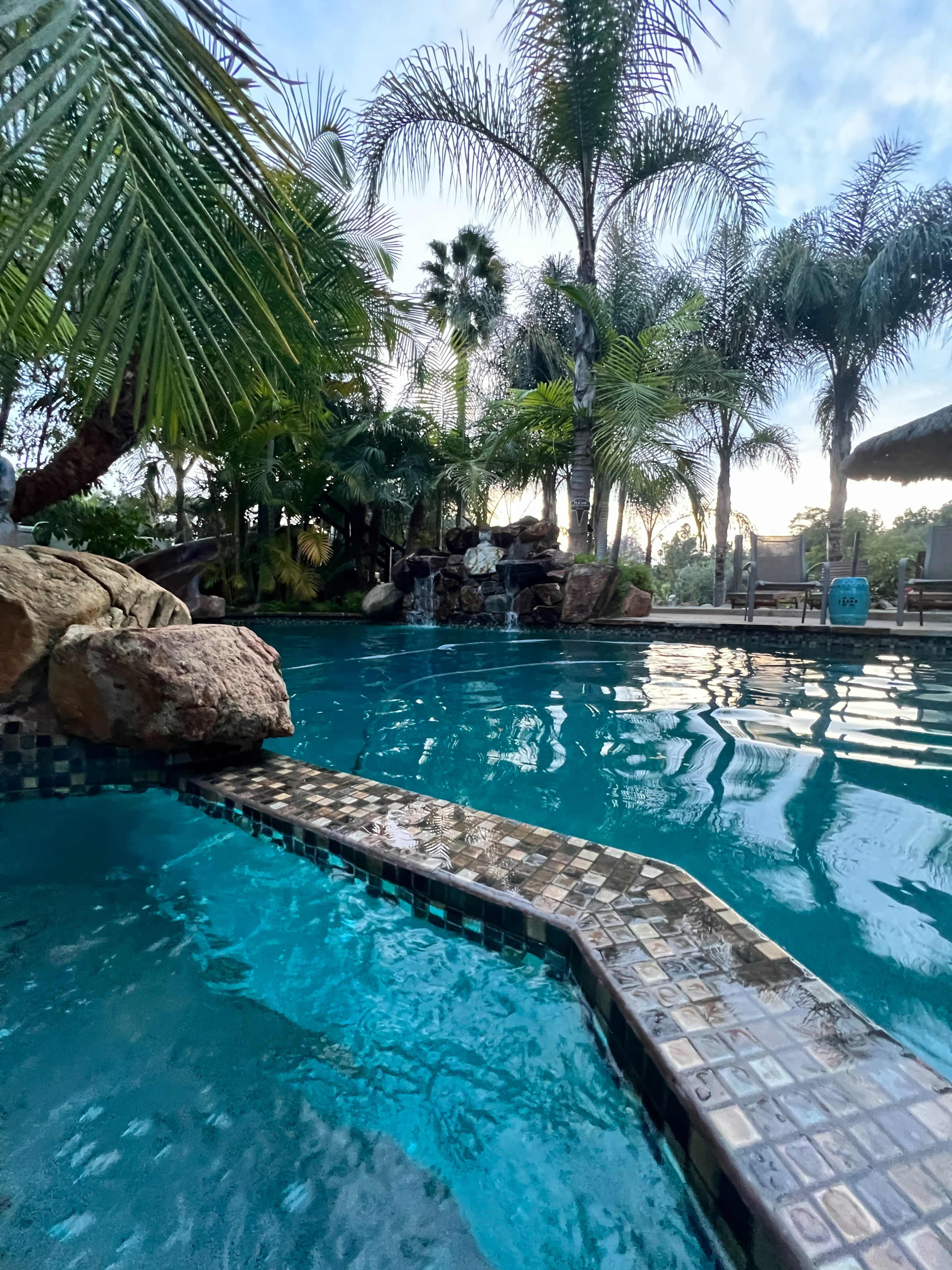 The image shows a swimming pool surrounded by palm trees and tropical plants, with a waterfall feature in the background.