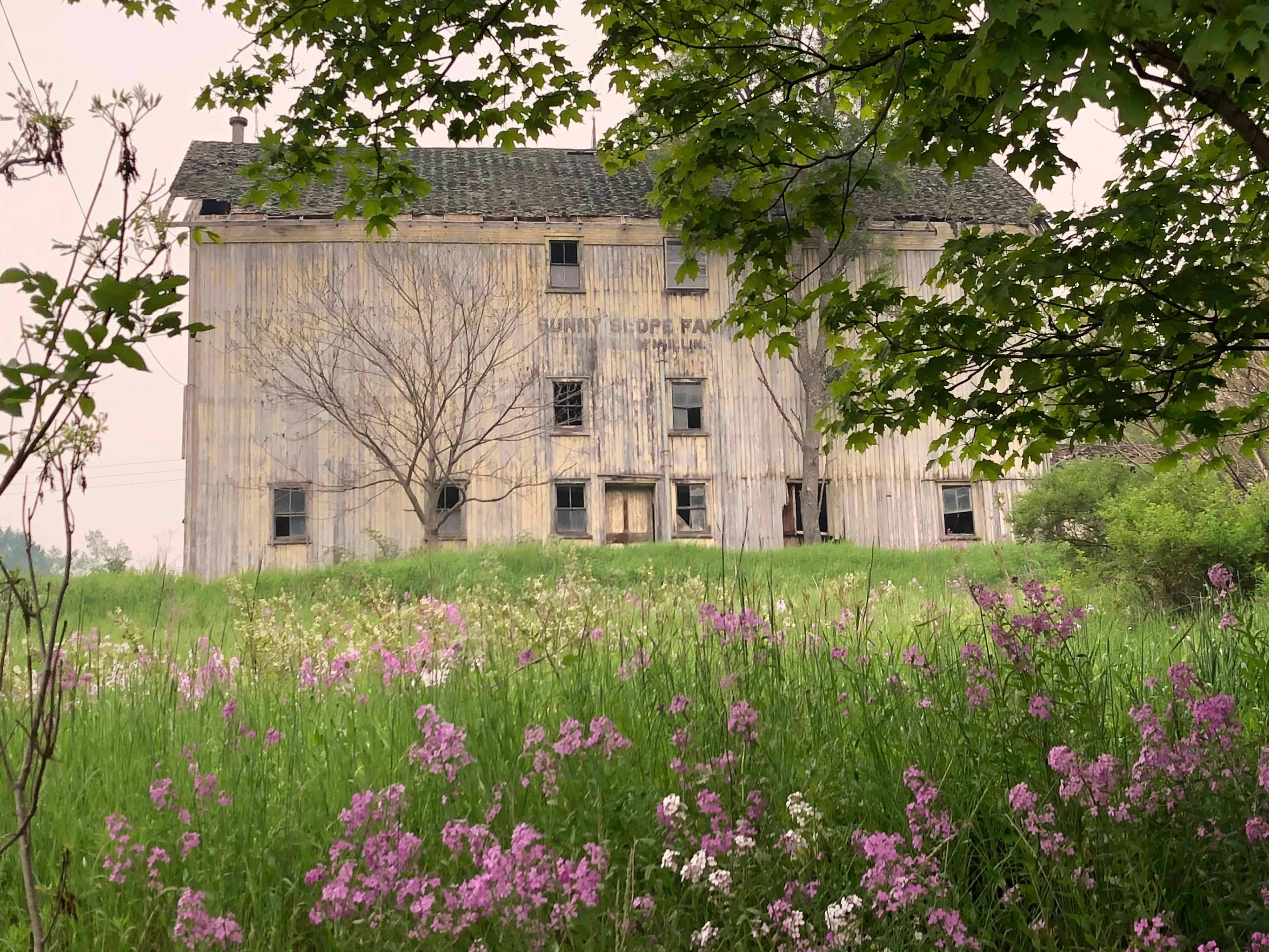 A weathered barn with the words "Sunny Slope Farm" is surrounded by tall grass and pink wildflowers under a hazy sky.