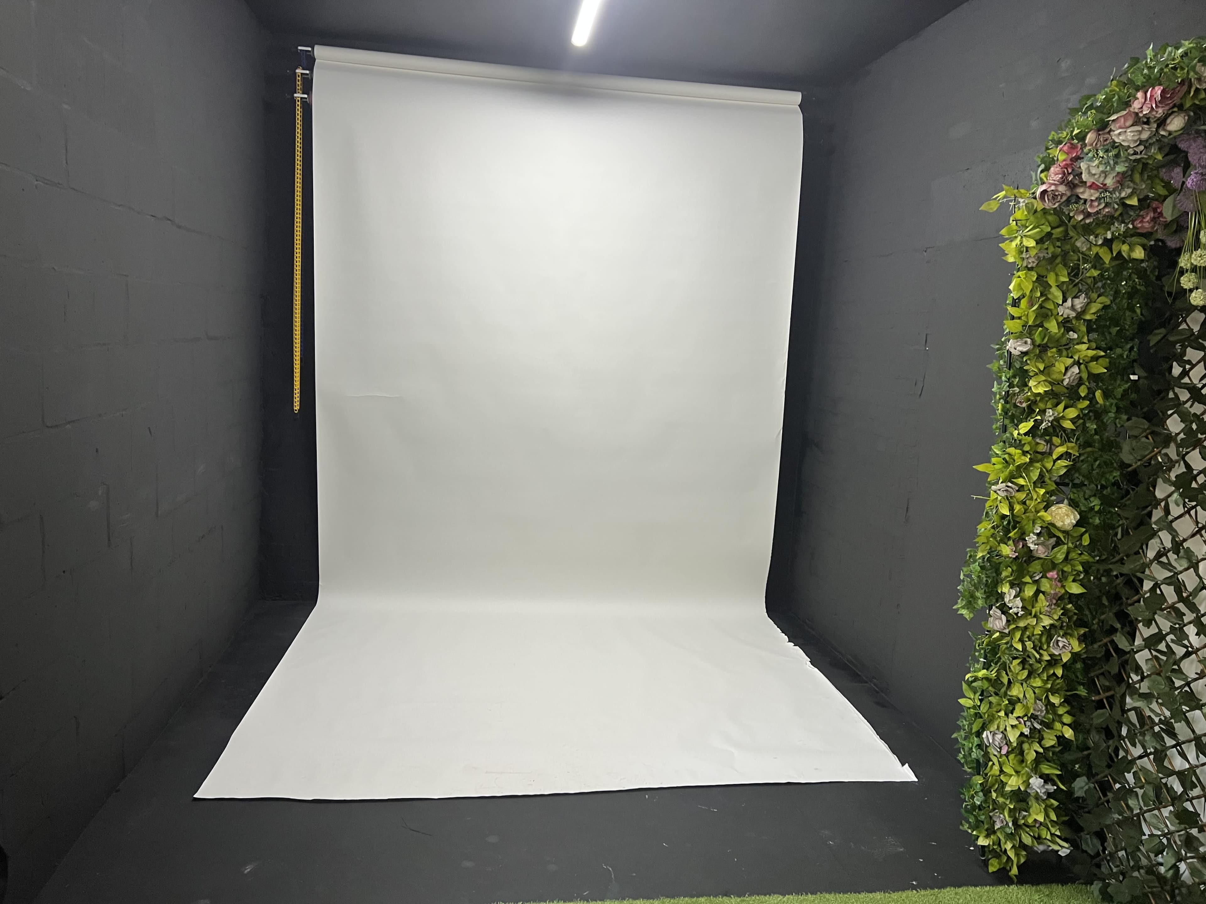 The image shows a photography studio with a plain white backdrop, a black floor, and a decorative green wall on one side.