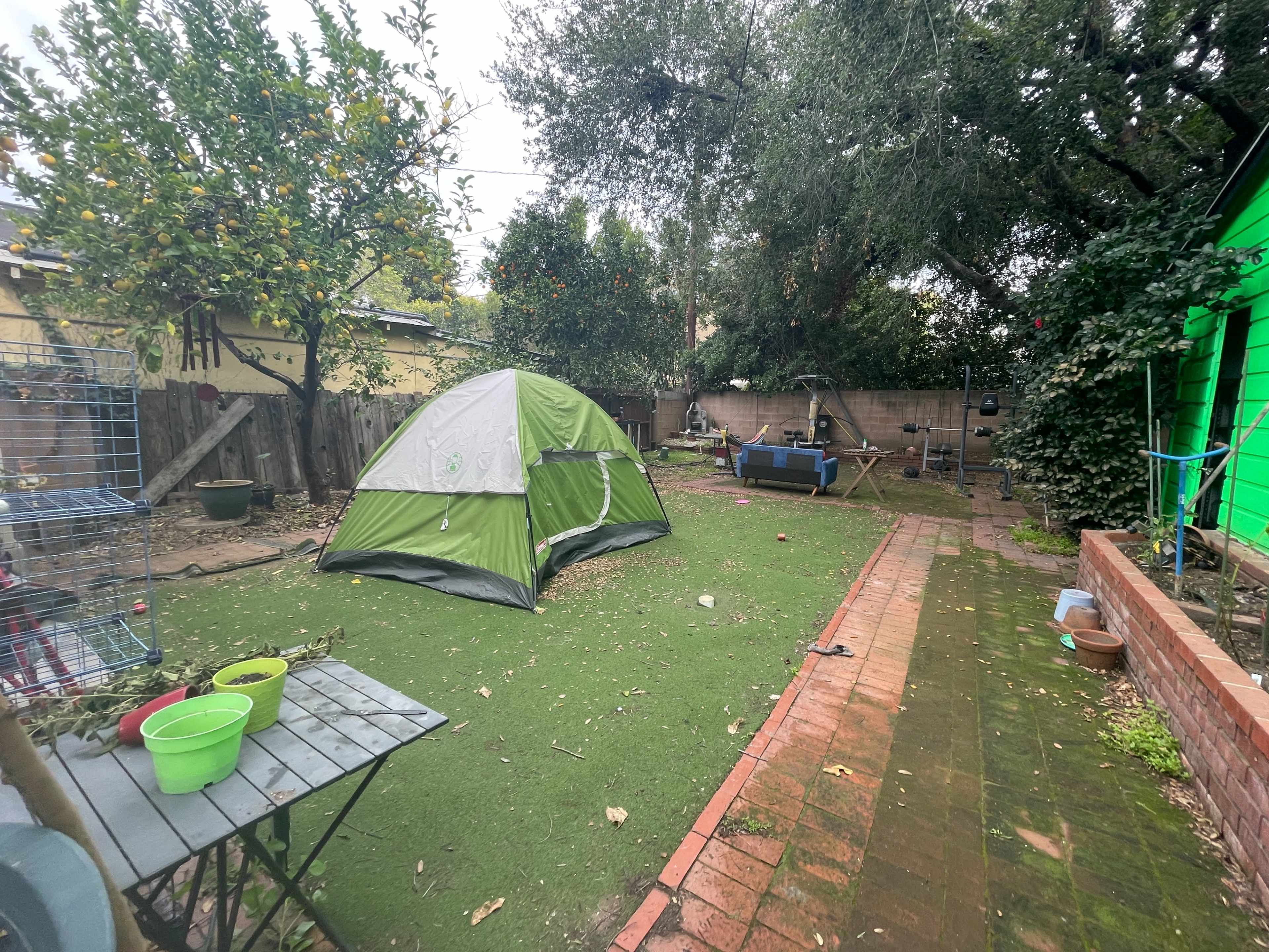 The image shows a backyard with a green tent set up on synthetic grass, surrounded by various plants and a path made of bricks.