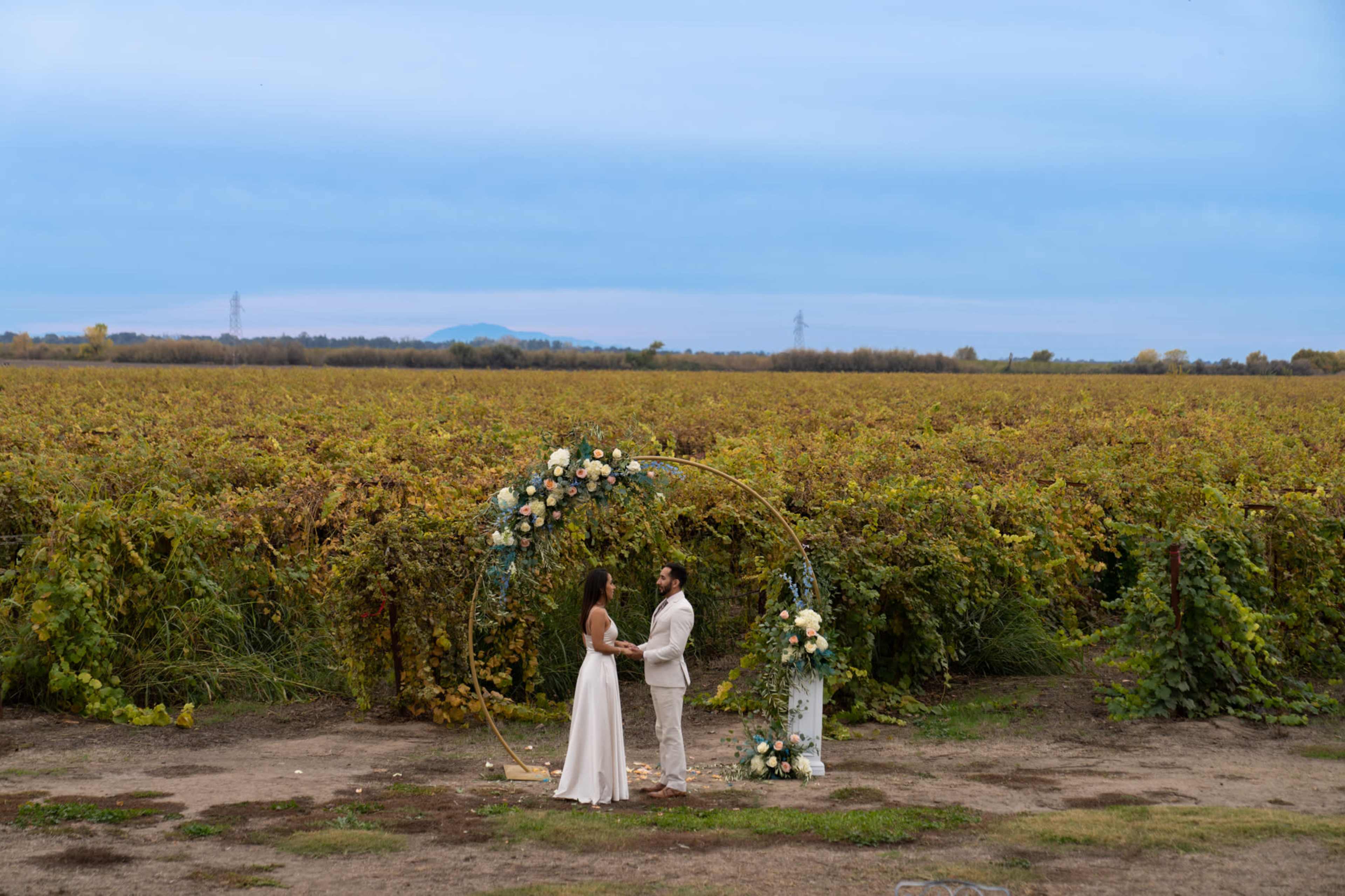 A couple stands under a floral arch exchanging vows in a vineyard with rows of grapevines stretching into the distance.