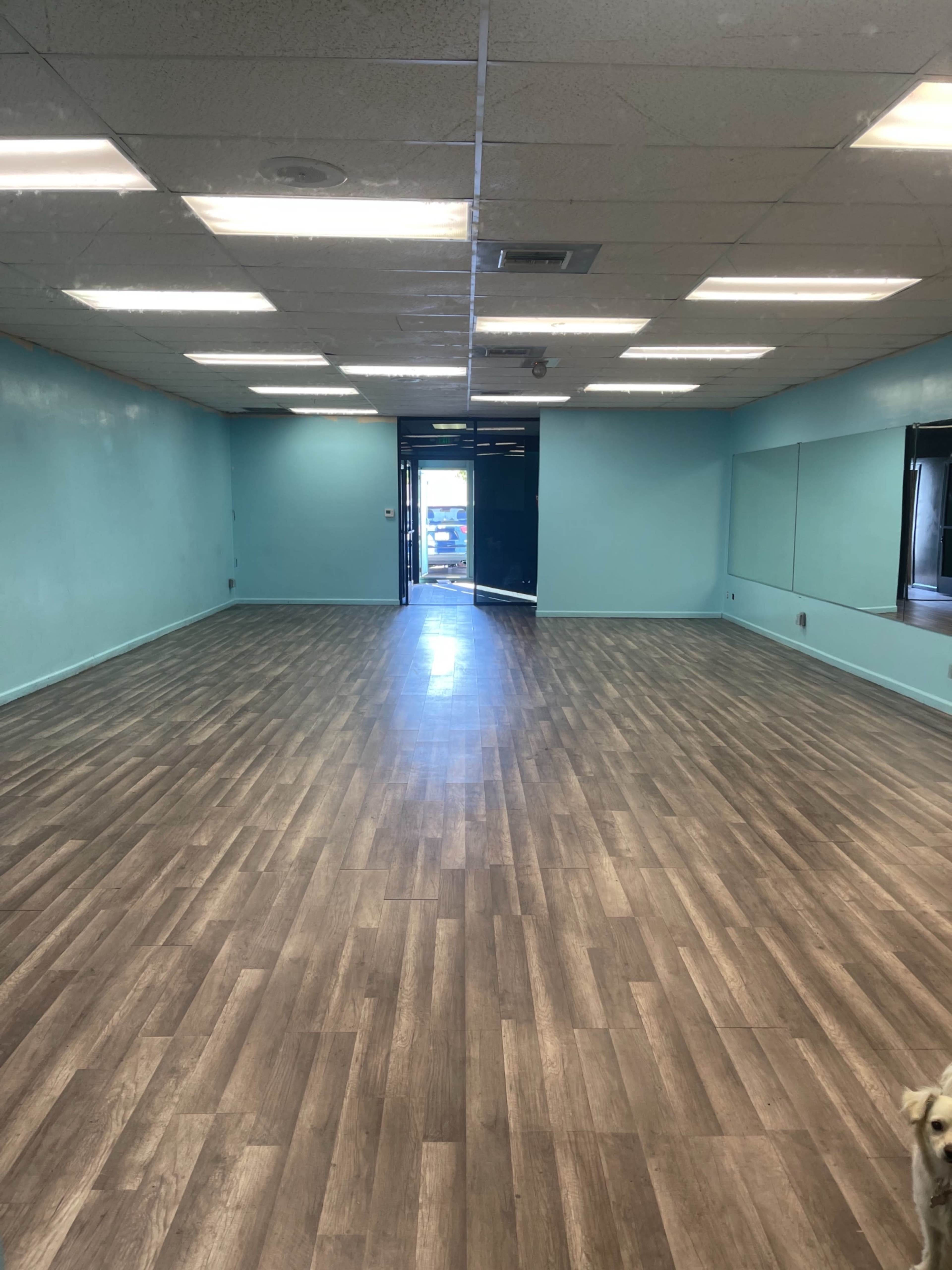 An empty room with blue walls, a wooden floor, and a doorway leading outside.