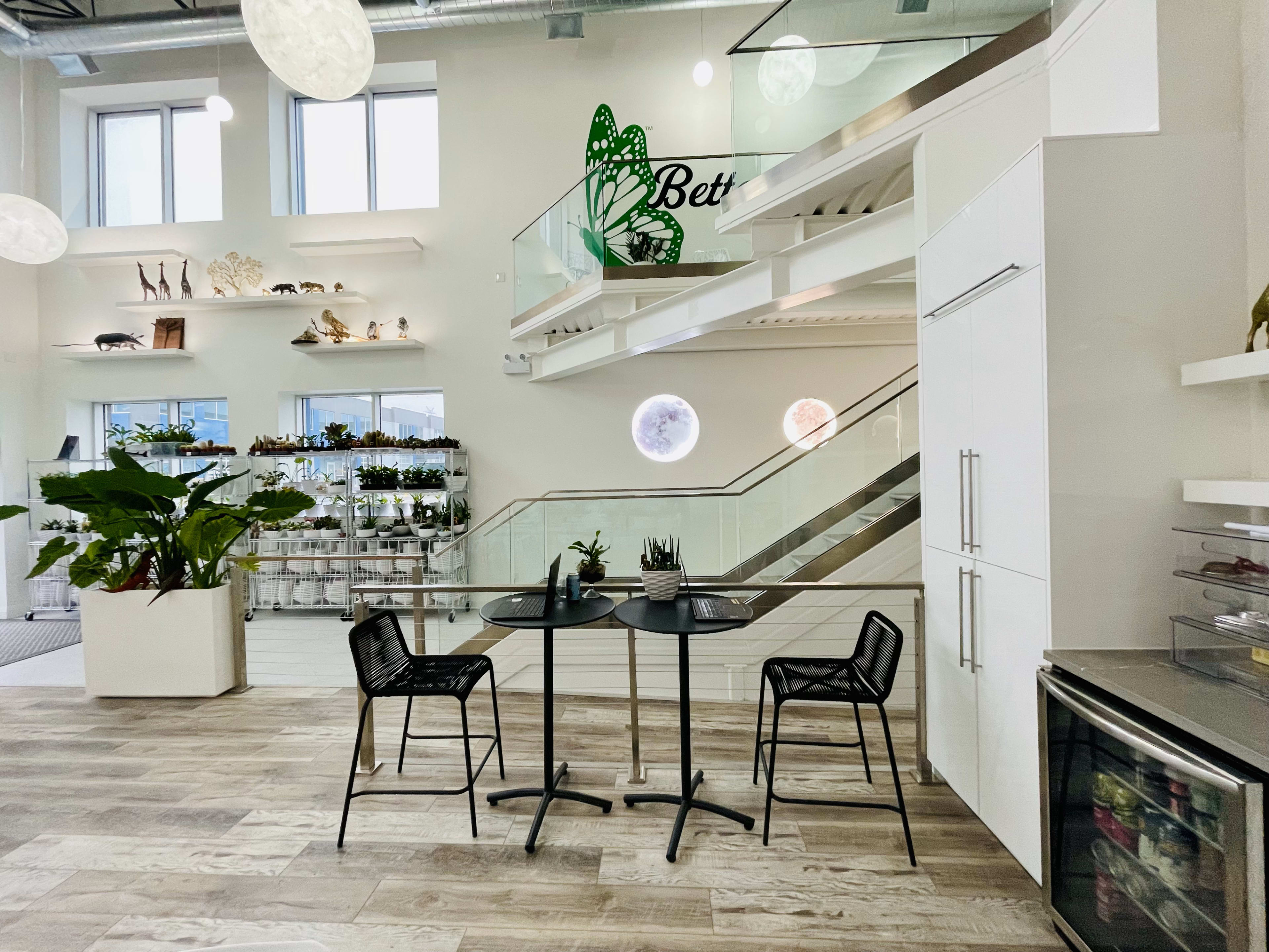 Warehouse chic - white and bright, nature infused for the Zen vibe. Image in Hannon North, Hamilton, ON