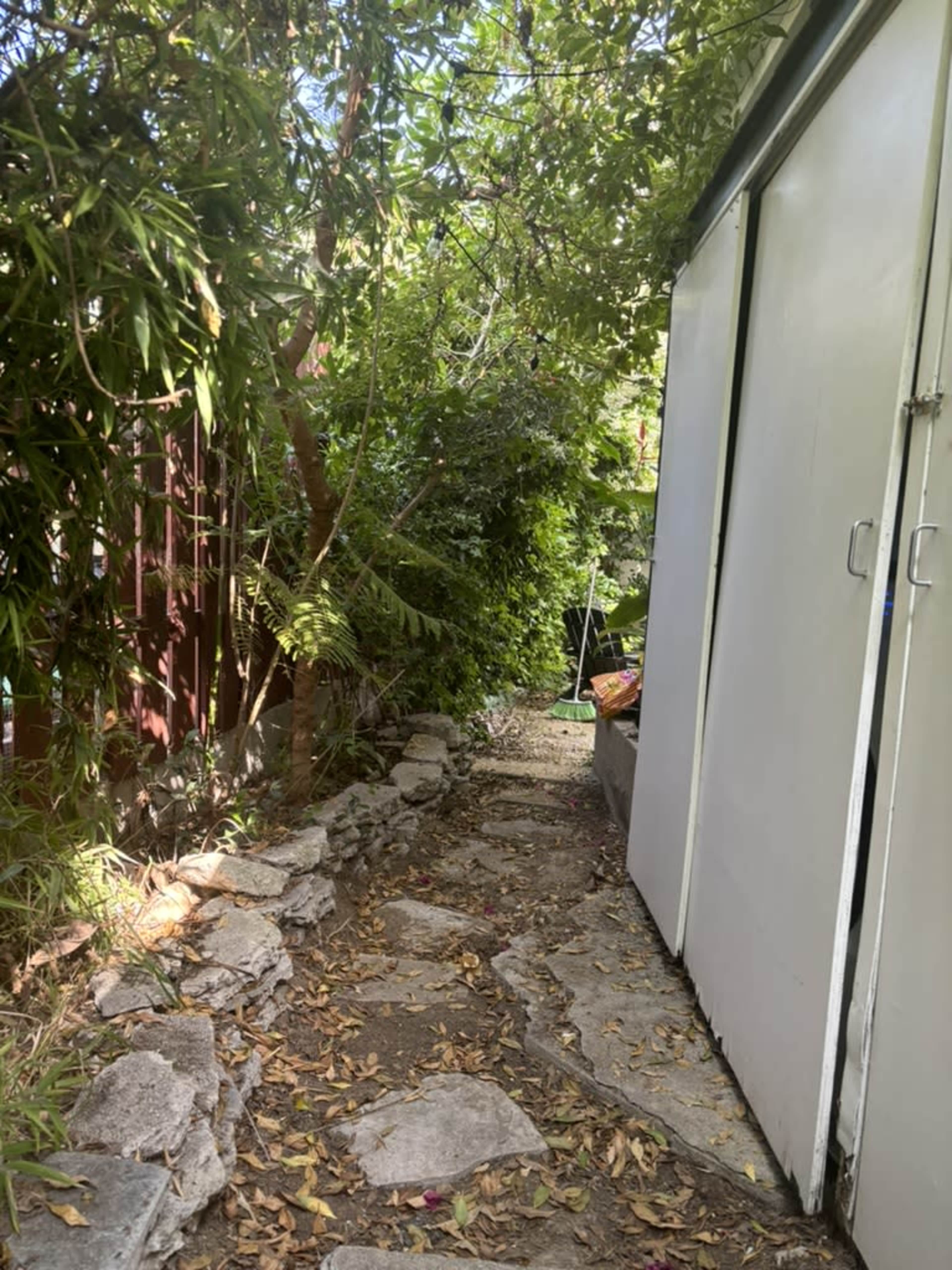 A narrow stone pathway lined with foliage leads to a shed in a green garden.
