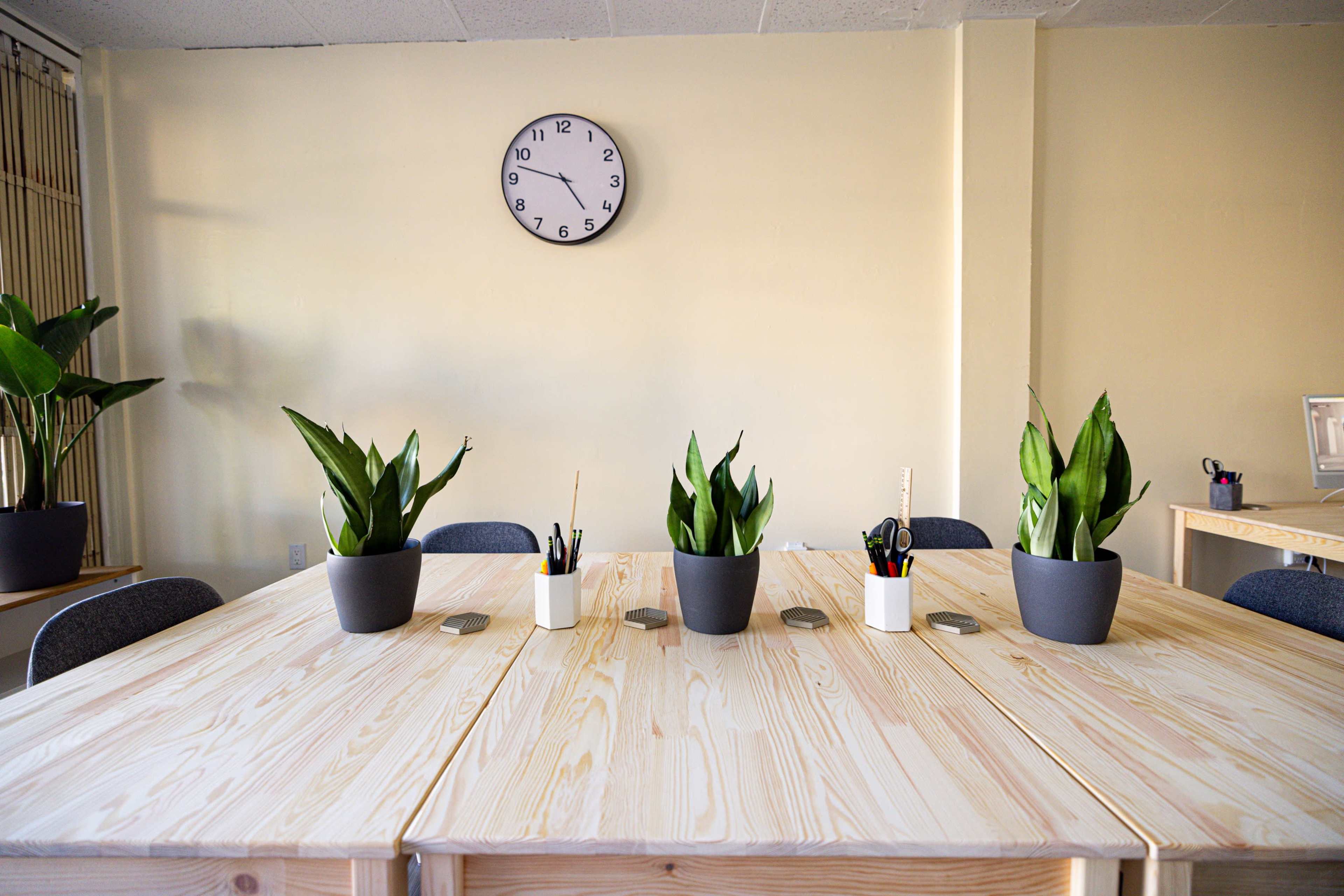 A long wooden table is set in a bright room with four potted plants, a clock on the wall, and office supplies arranged in containers.