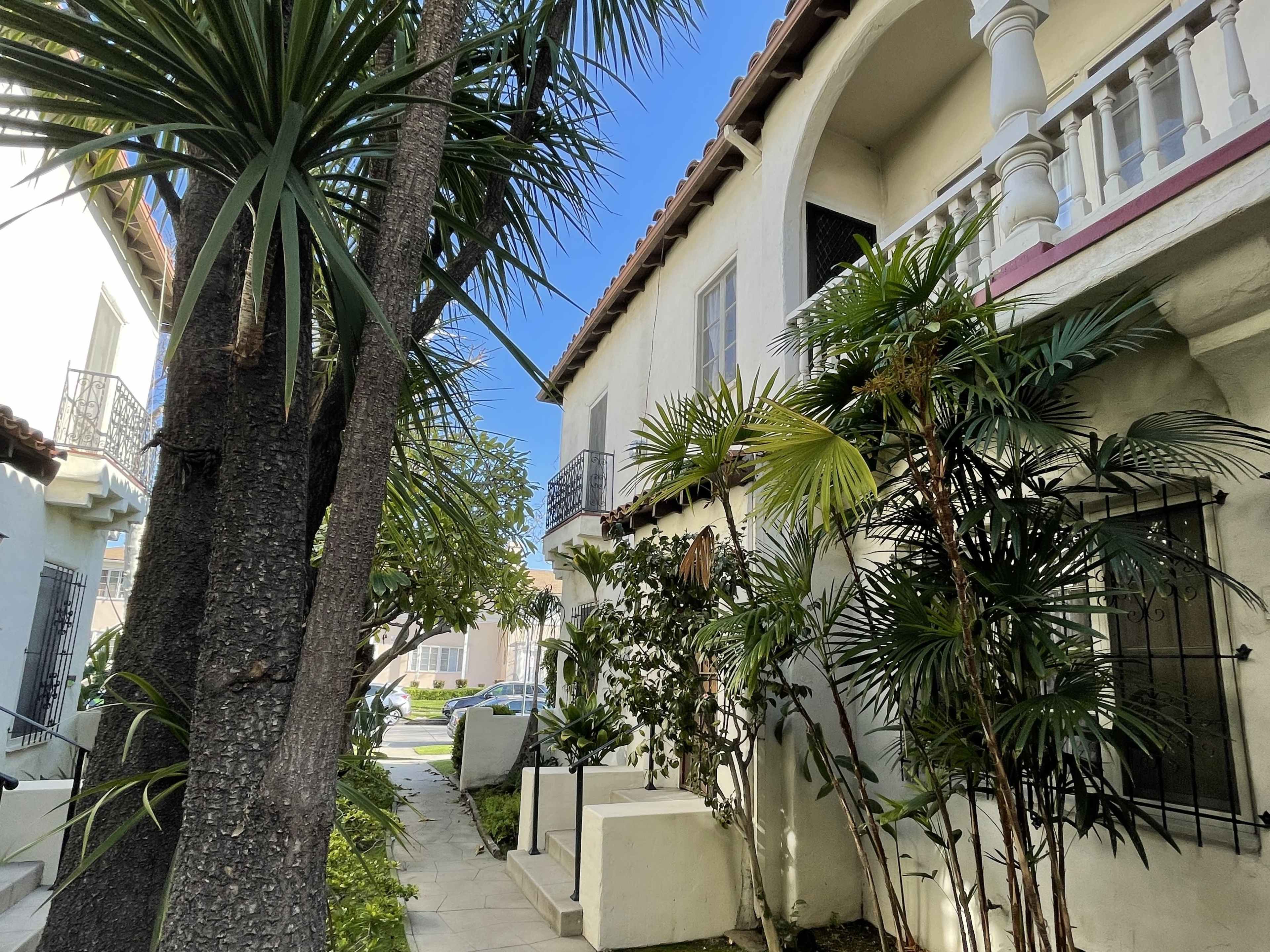 The image shows a narrow walkway lined with tropical plants and palm trees alongside a white building with balconies under a clear blue sky.