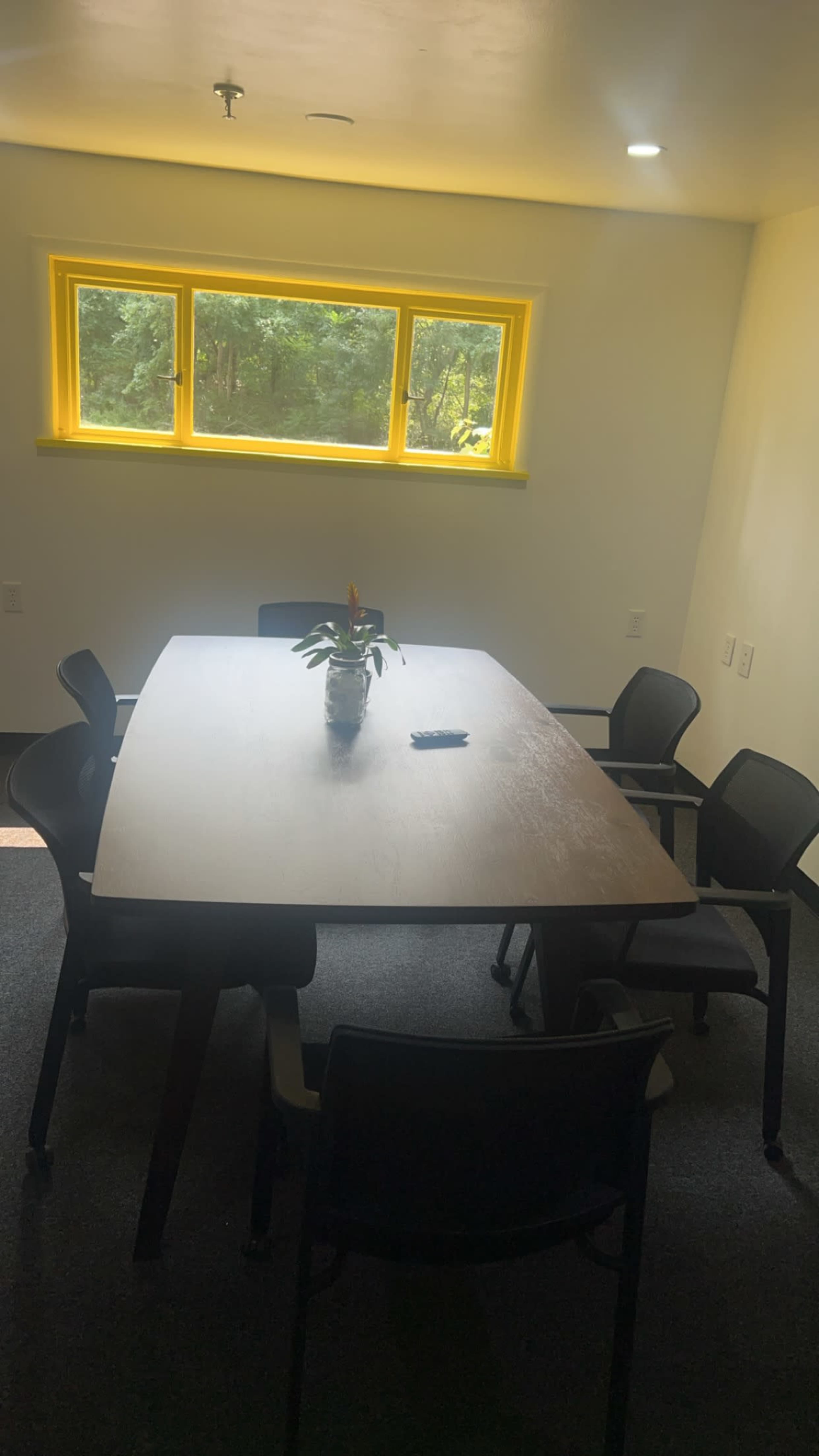 A conference room with a wooden table surrounded by six black chairs, featuring a potted plant in the center and a yellow window providing natural light.