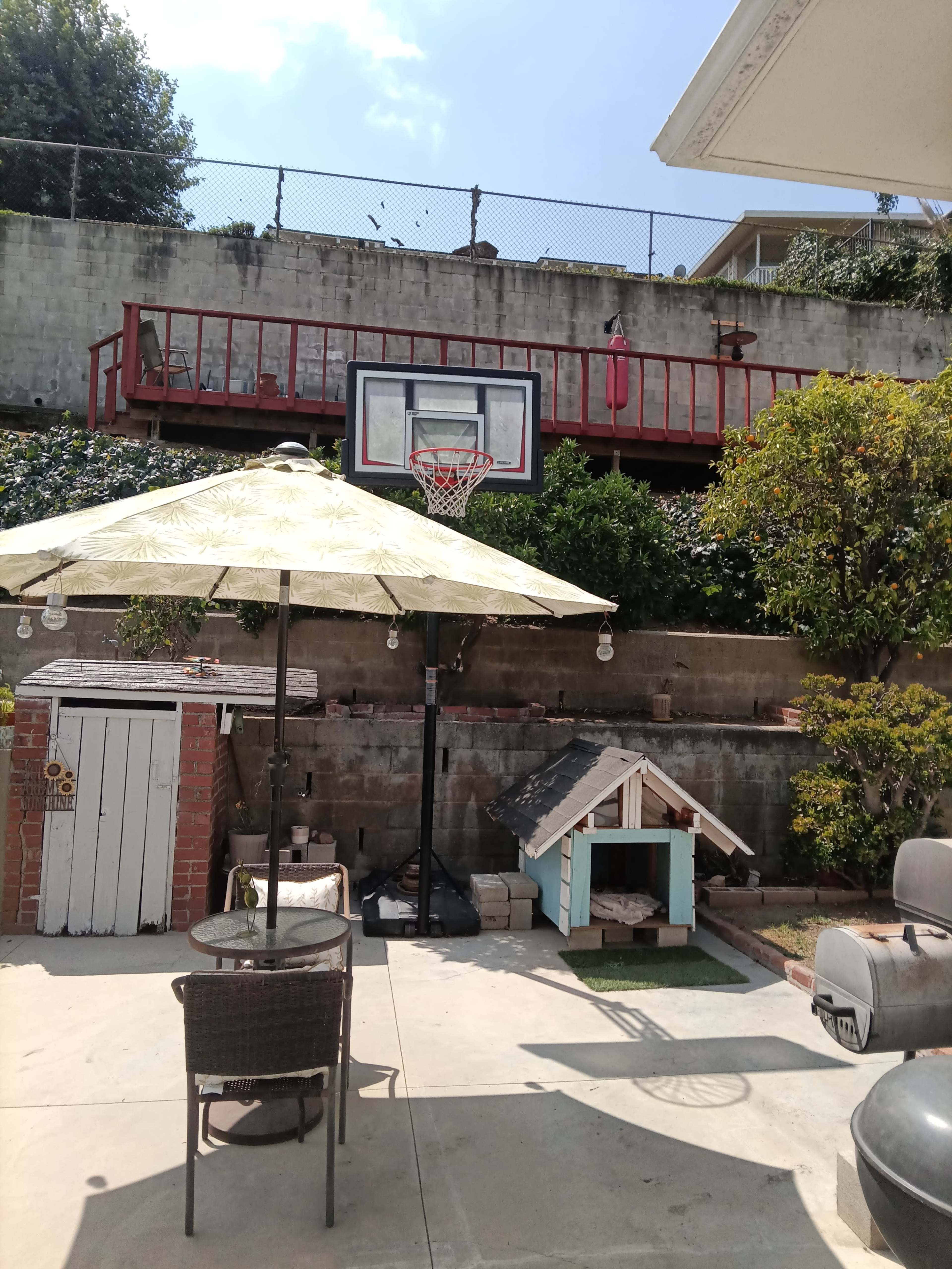 The image shows a backyard with a basketball hoop mounted on a wall, a shaded table with chairs, and a small dog house nearby.