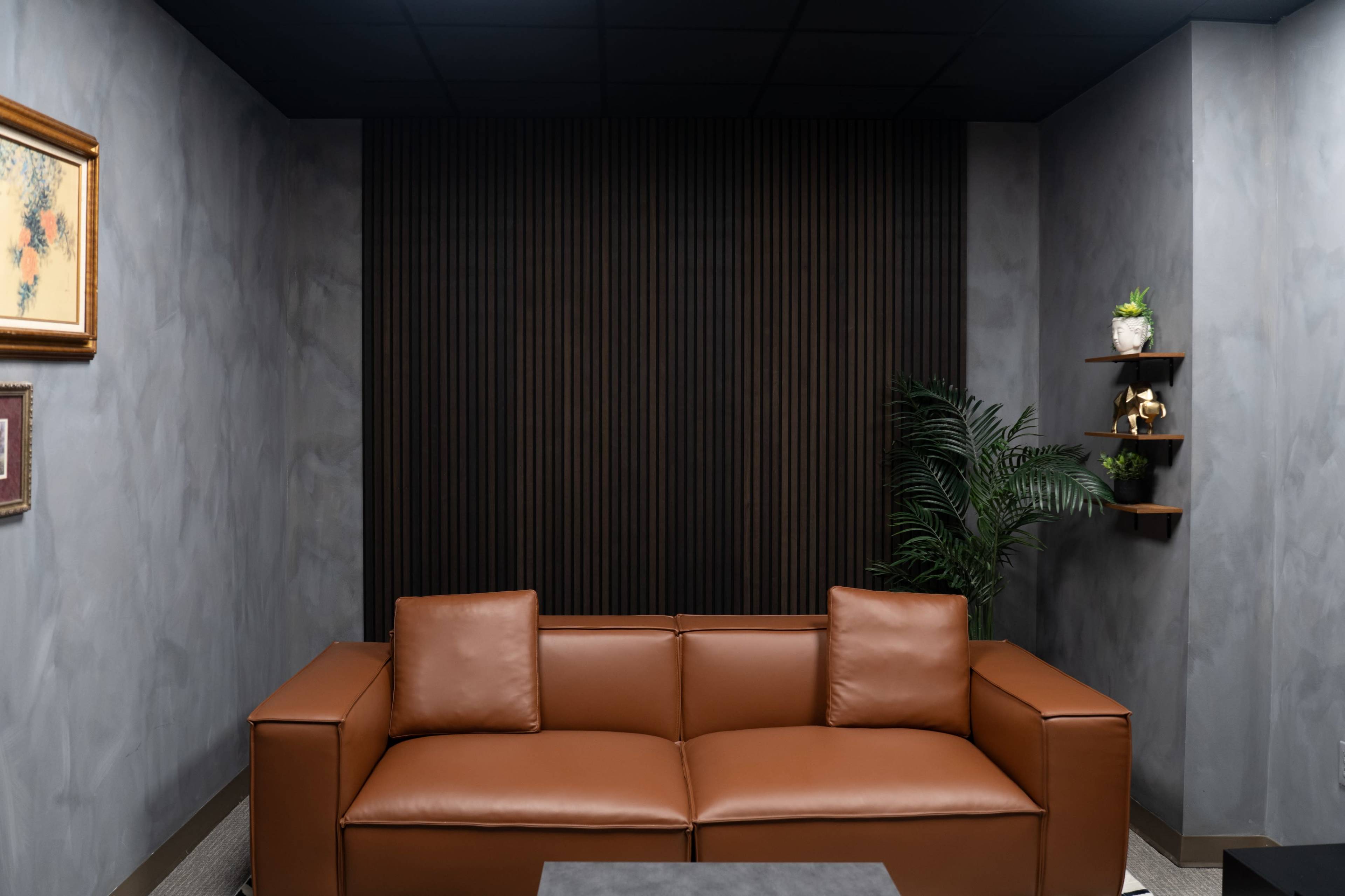 Vintage Lounge Set (Podcast/Photo/Video) Image in Gwinnett Village, Norcross, GA