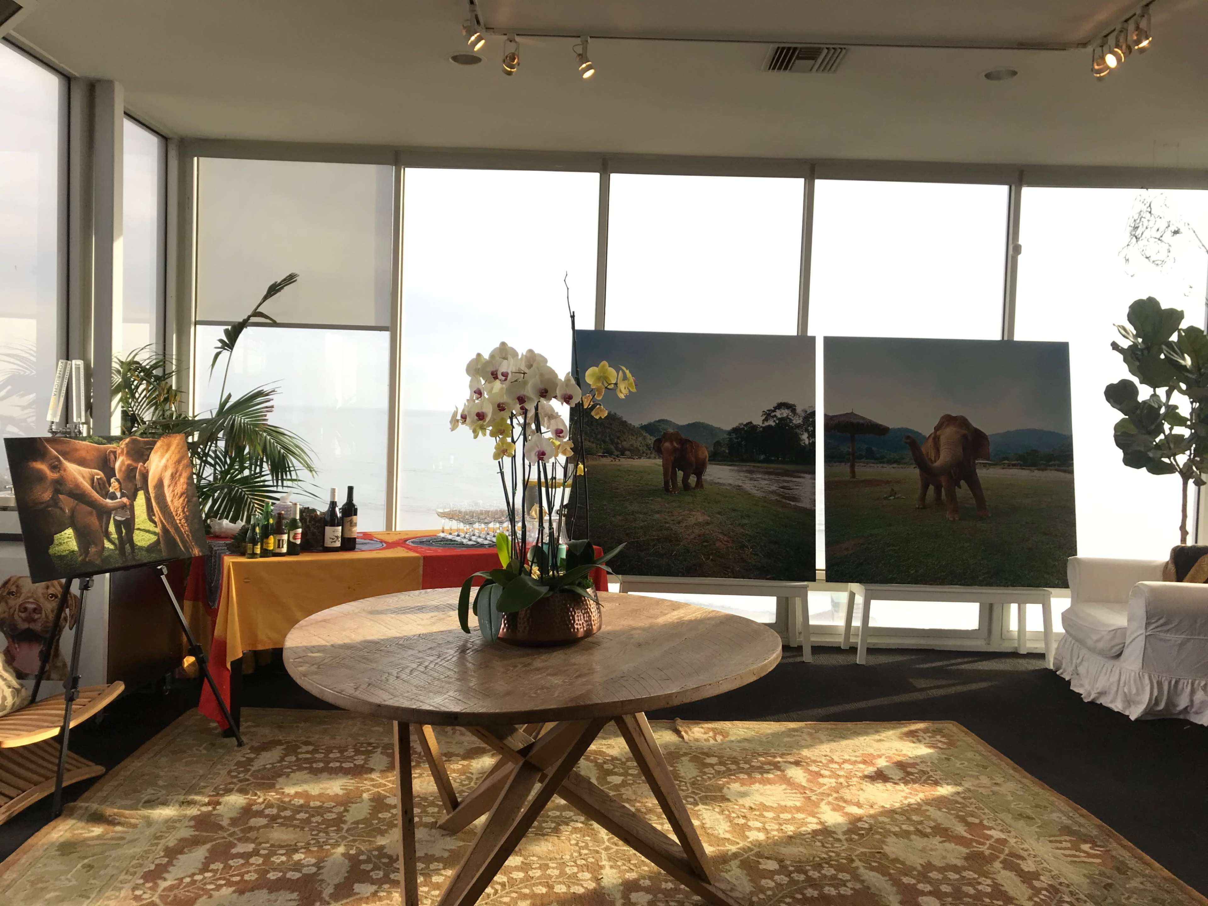 Indoor/Outdoor Oceanside Space With Patio Image in Eastern Malibu, Malibu, CA