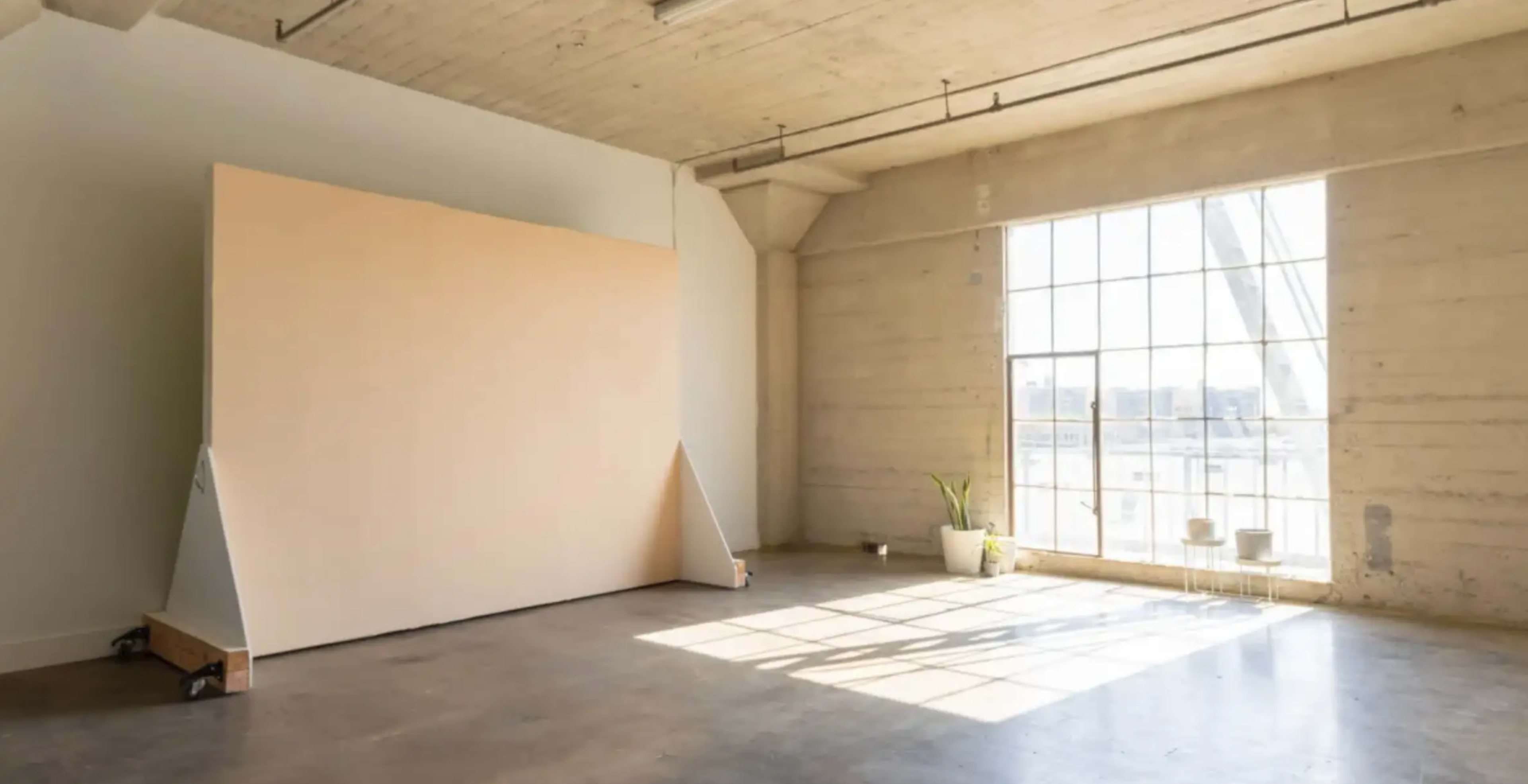 The image shows a spacious, minimalist room with a large window allowing natural light to illuminate a plain backdrop and a potted plant in the corner.