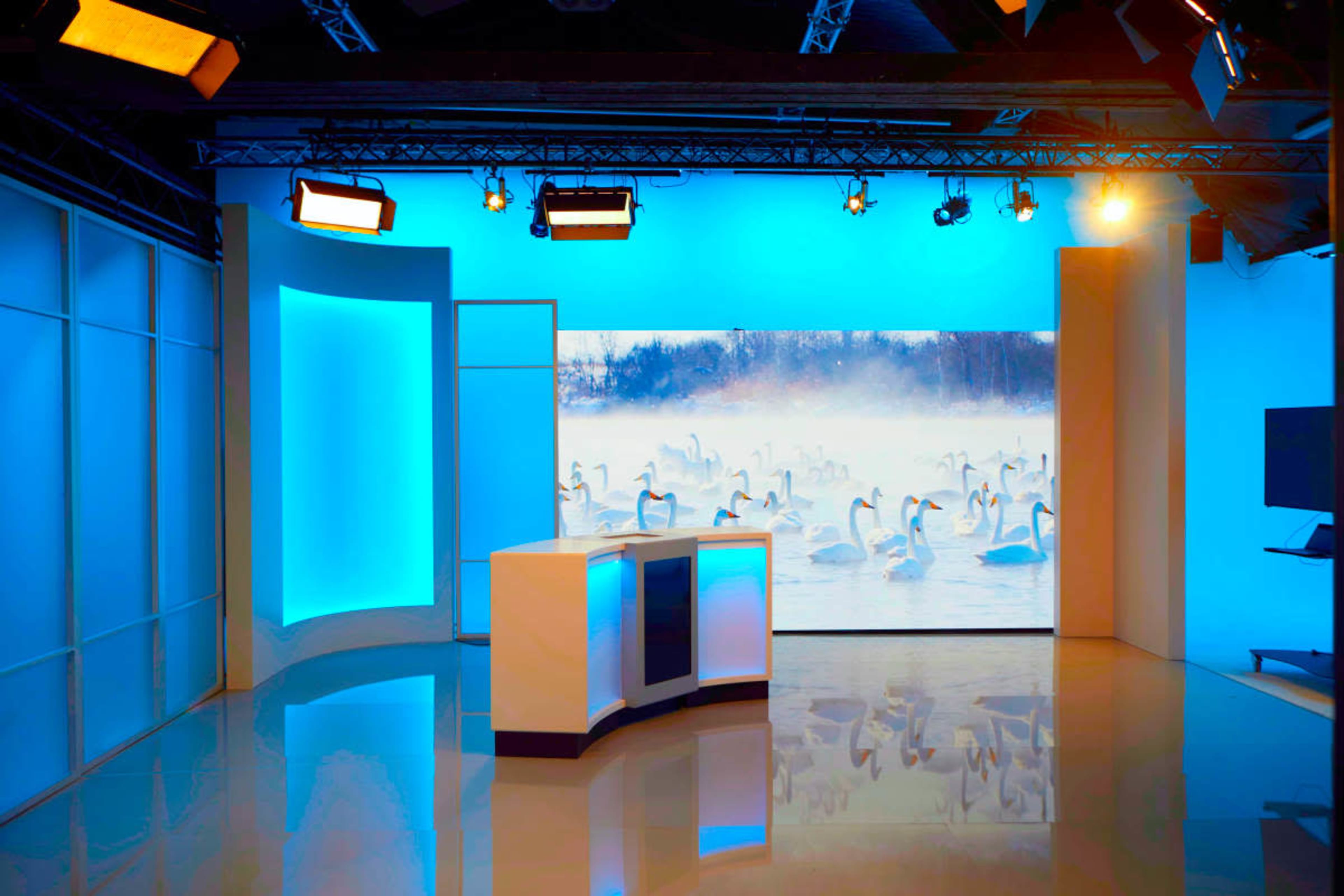 The image shows a modern television studio with a blue backdrop featuring swans in a misty landscape.