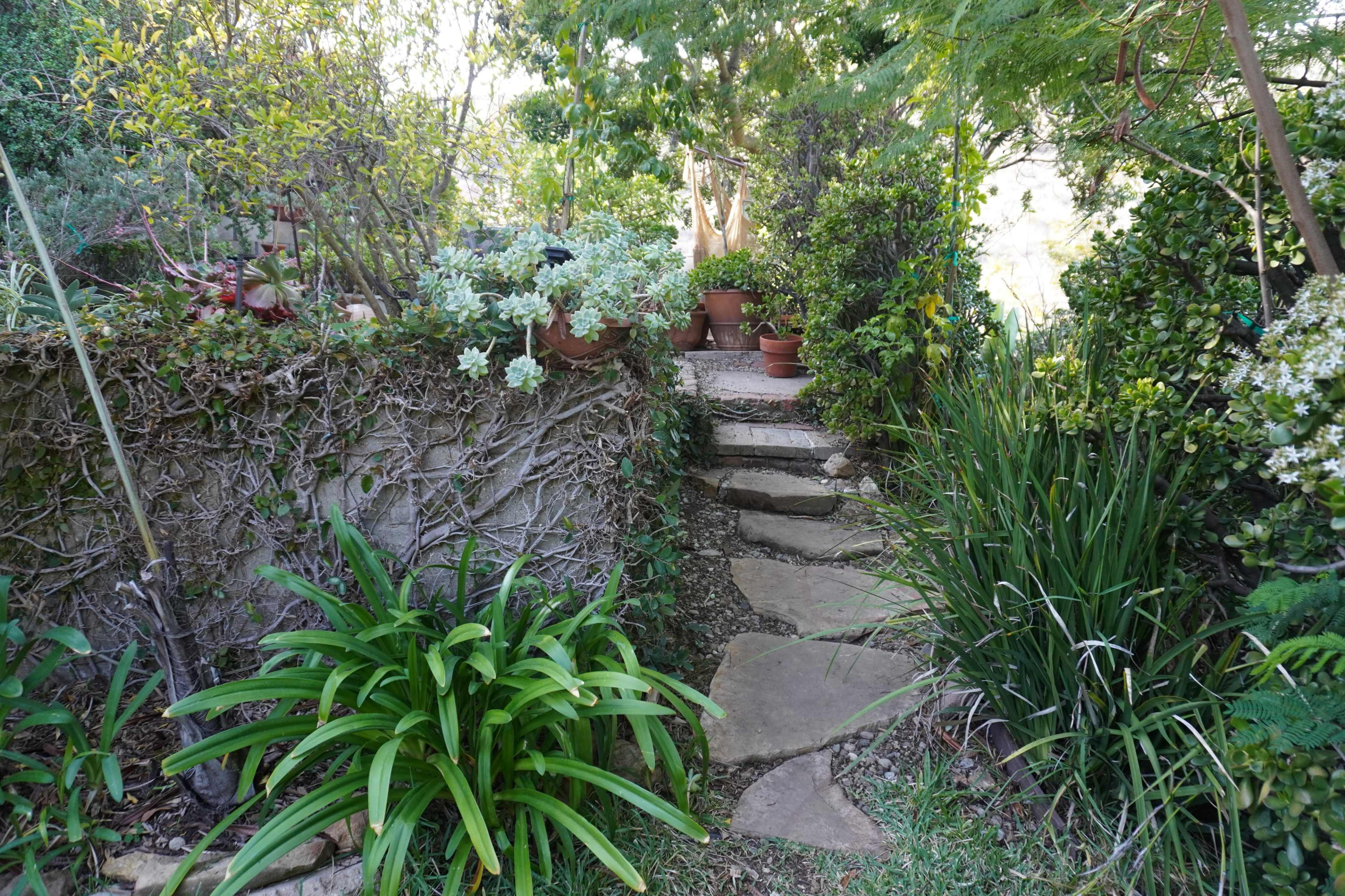 A stone pathway leads through a lush garden filled with potted plants and greenery.