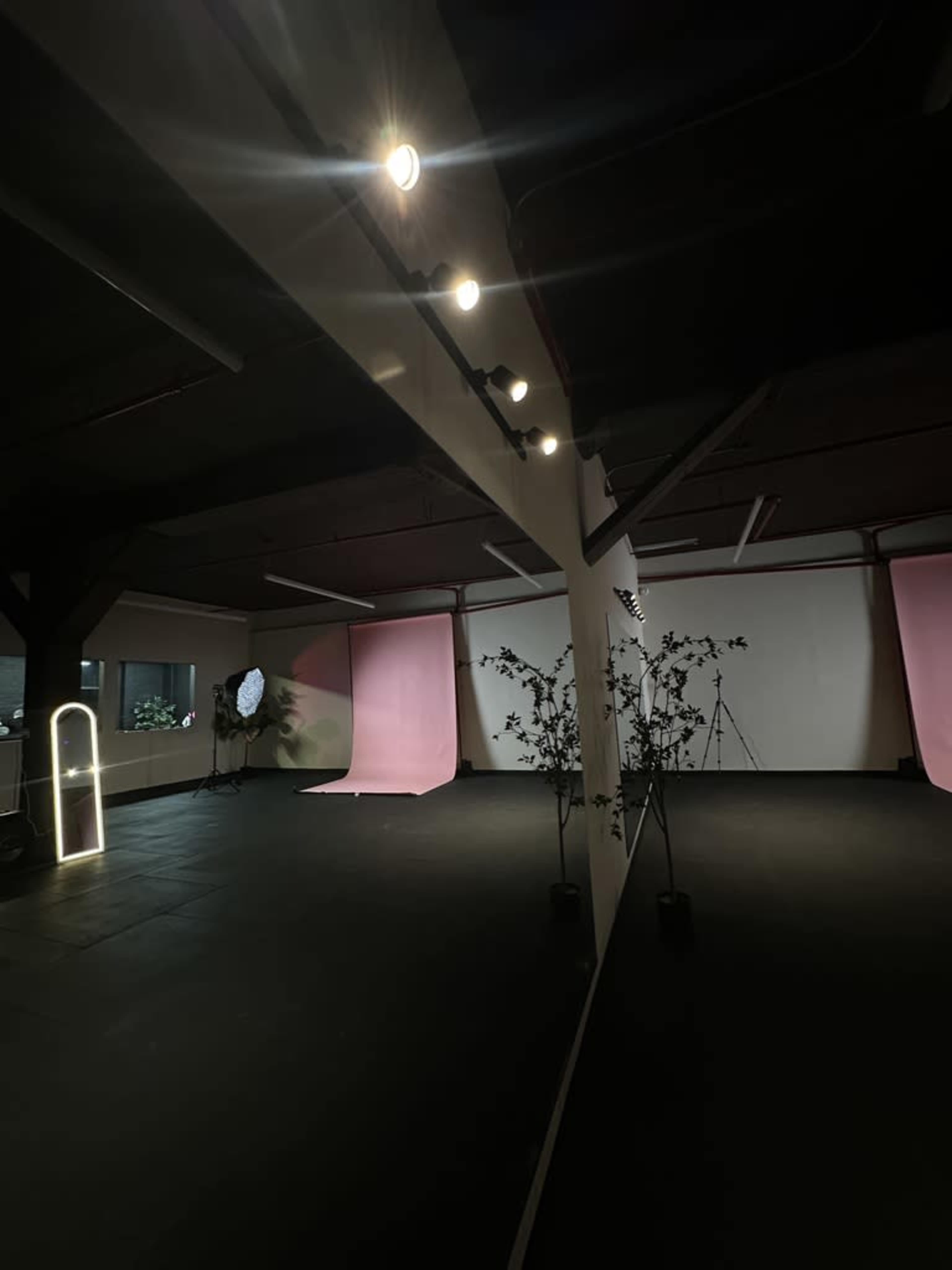 The image shows a spacious studio with pink backdrops, lighting equipment, and decorative plants positioned on the floor.