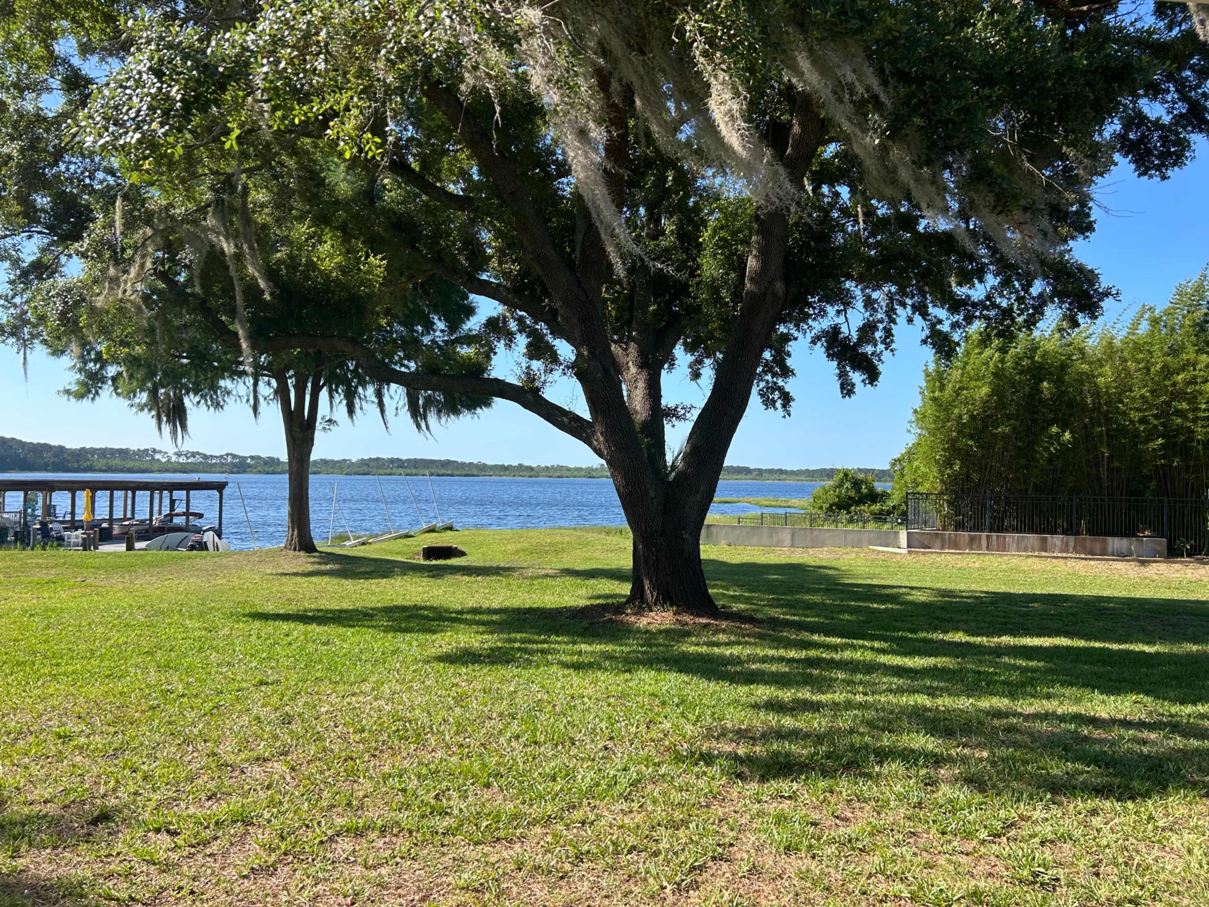 A large tree provides shade over a grassy area near a lake, with a dock visible in the background.