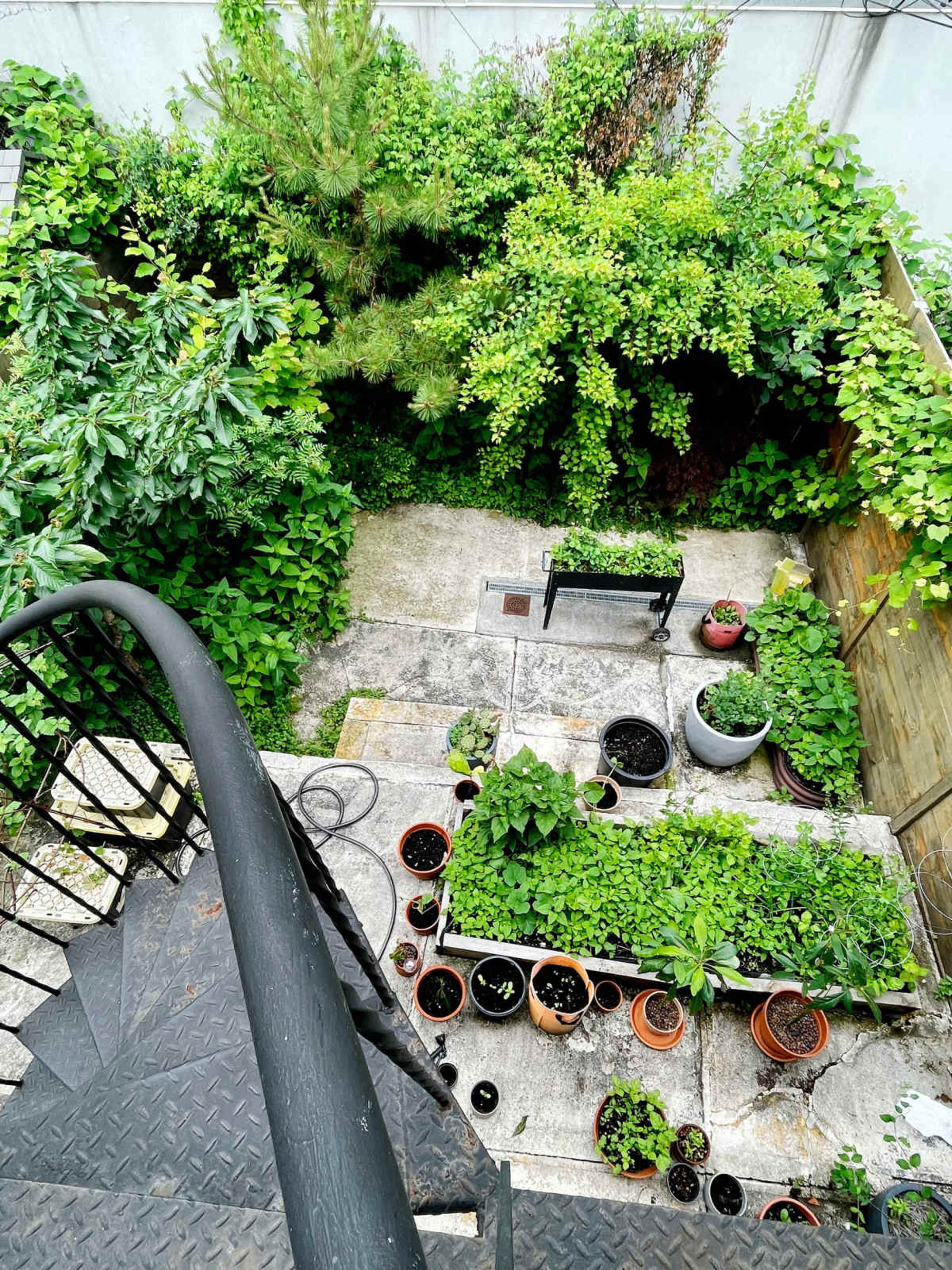 Garden House Event Space Image in Bushwick, Brooklyn, NY