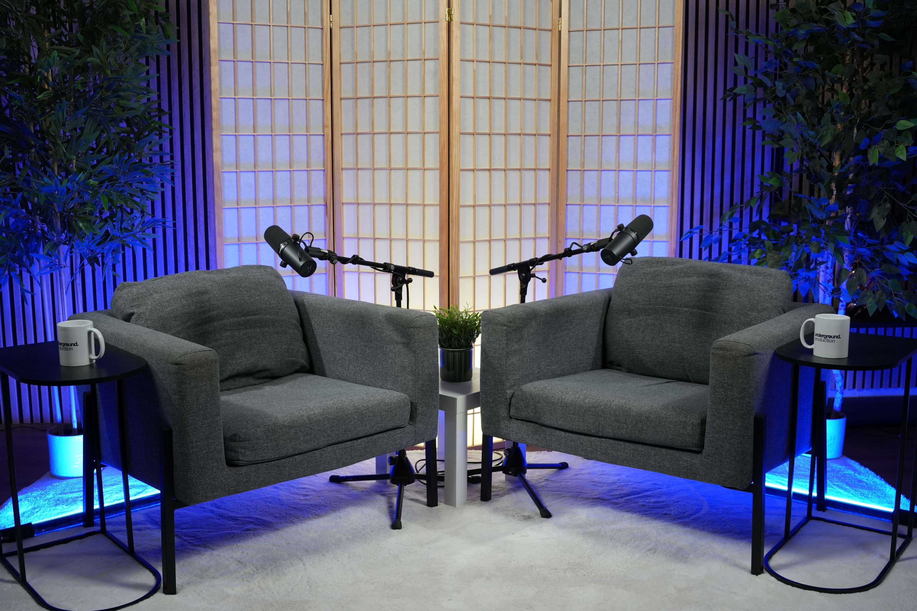 The image features two gray armchairs positioned opposite each other, each accompanied by a small table, a potted plant, and microphones, with a backdrop of wooden panels and blue lighting.