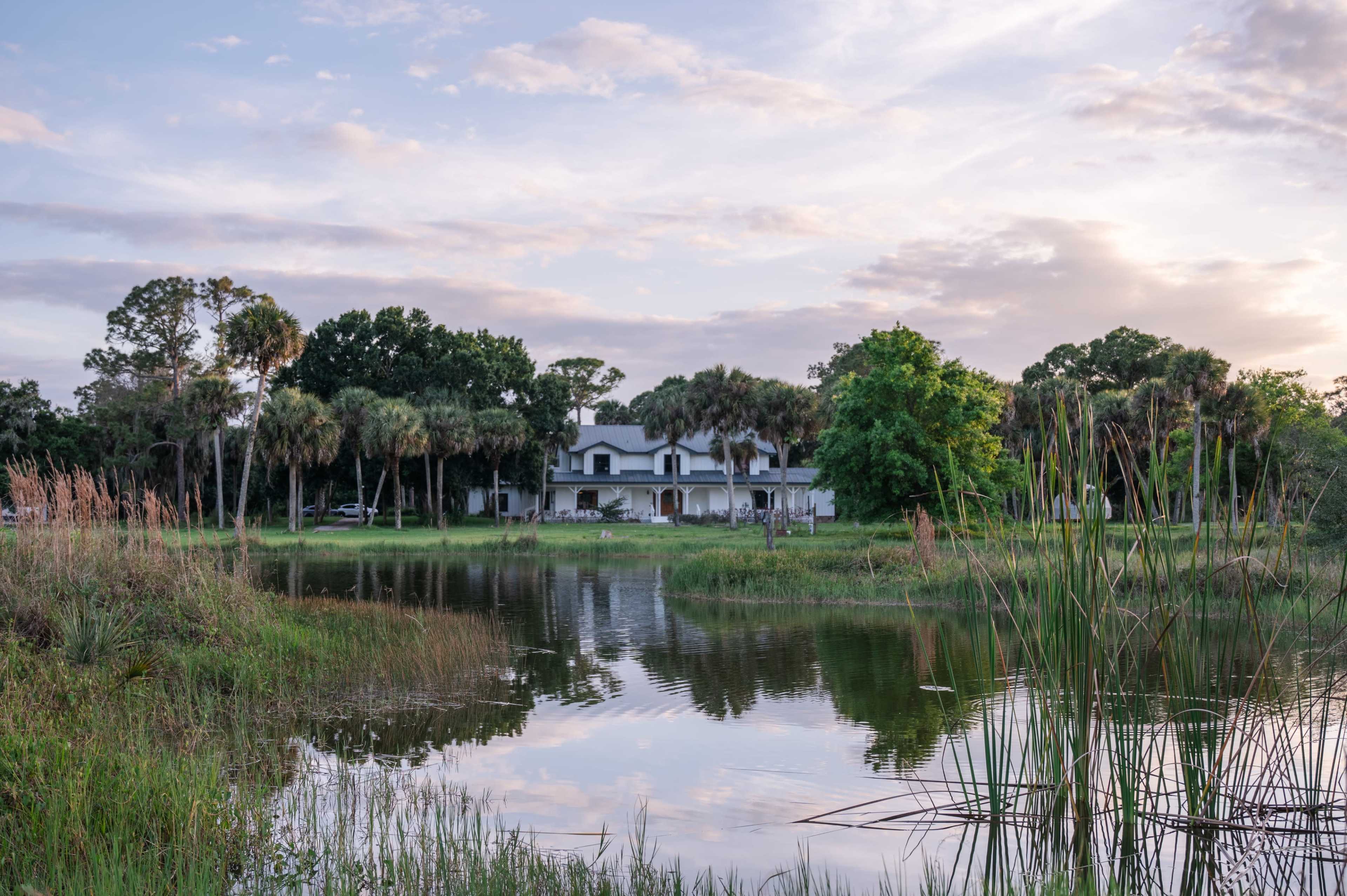A large white house with a dark roof is situated near a calm pond, surrounded by tall grasses and palm trees.