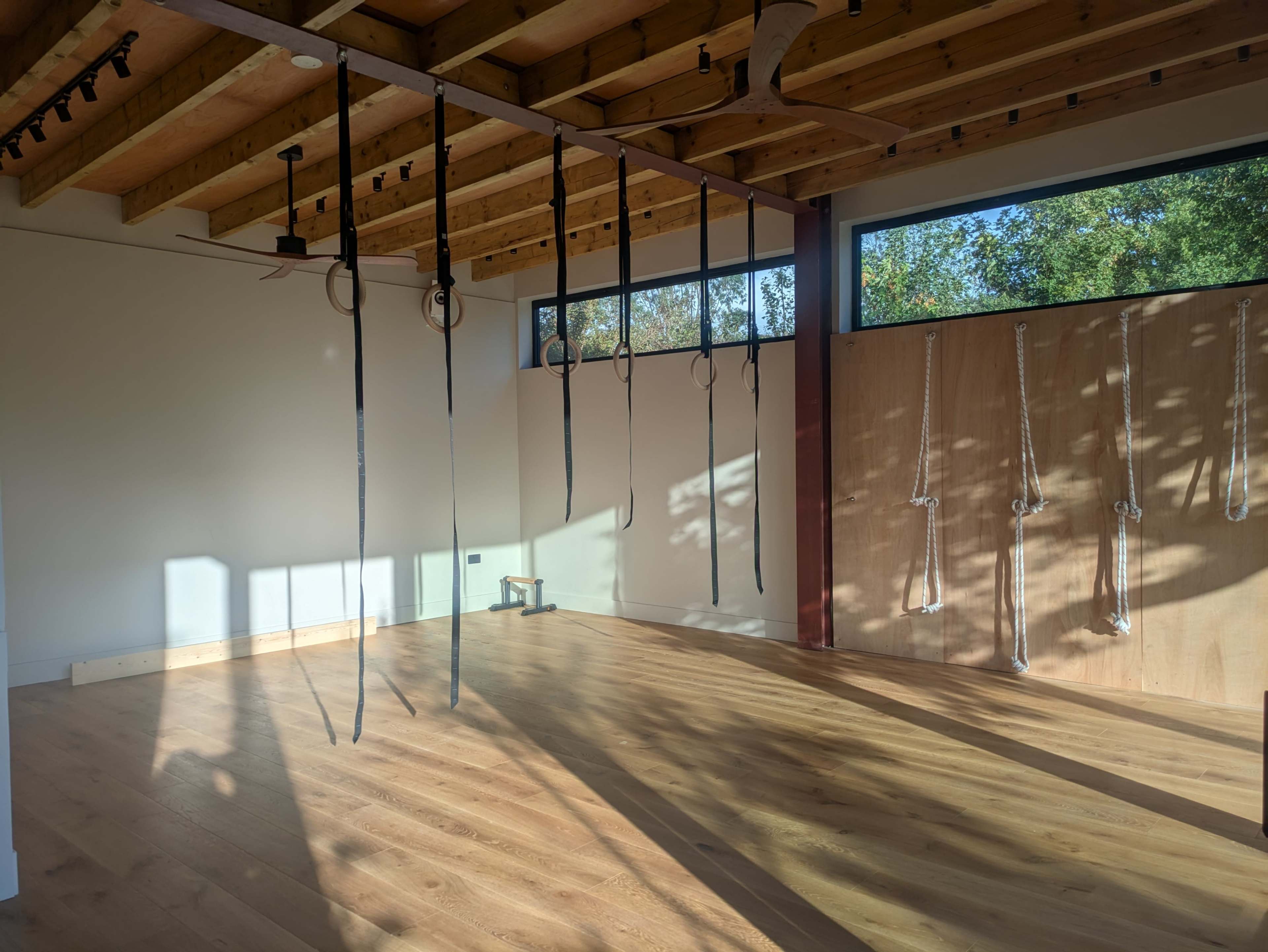 Light-filled movement studio in a garden, with natural wood accents Image in Leyton, London, ENG