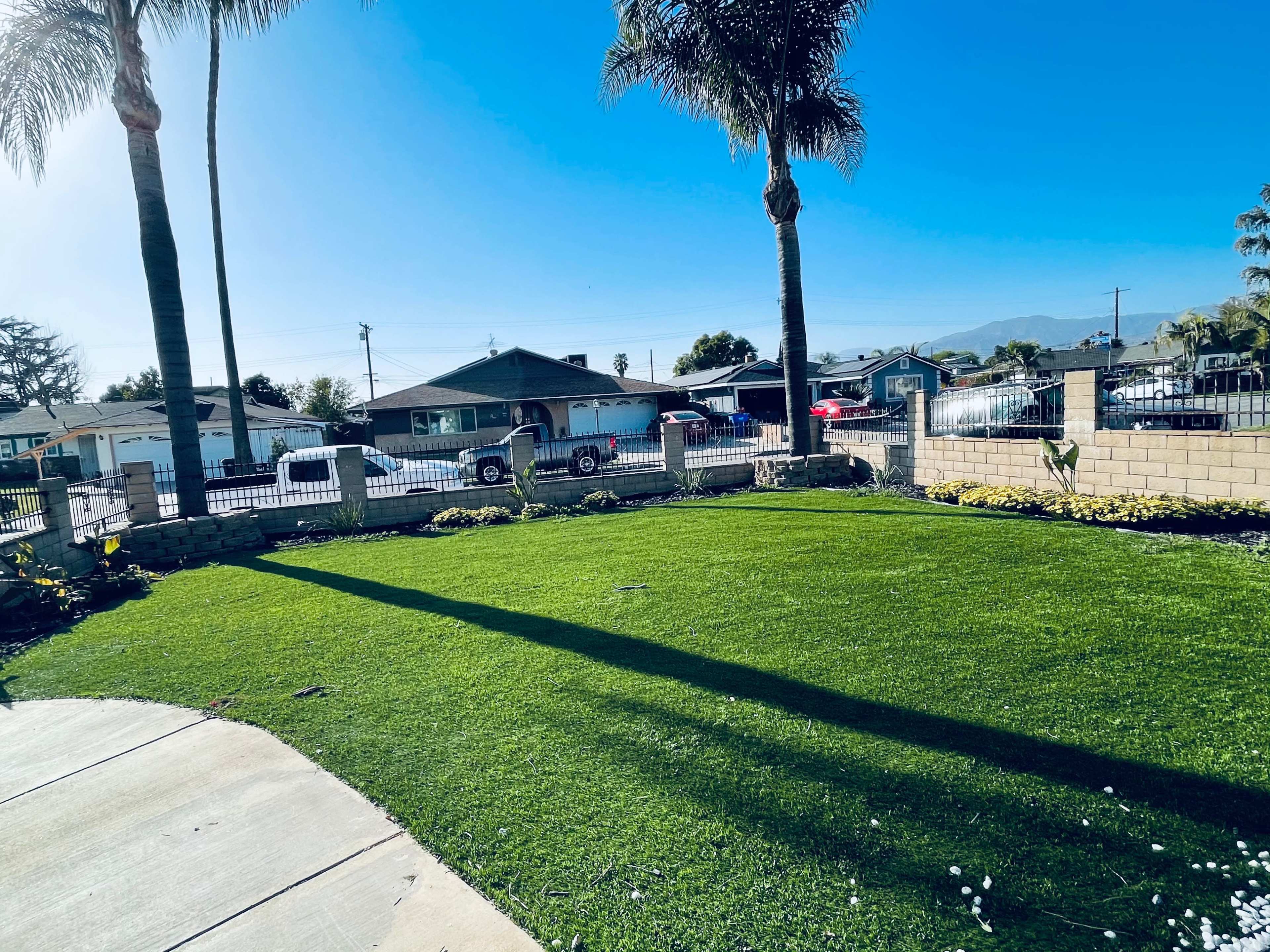 A well-maintained lawn with palm trees casting long shadows, bordered by a low stone wall and houses visible in the background.