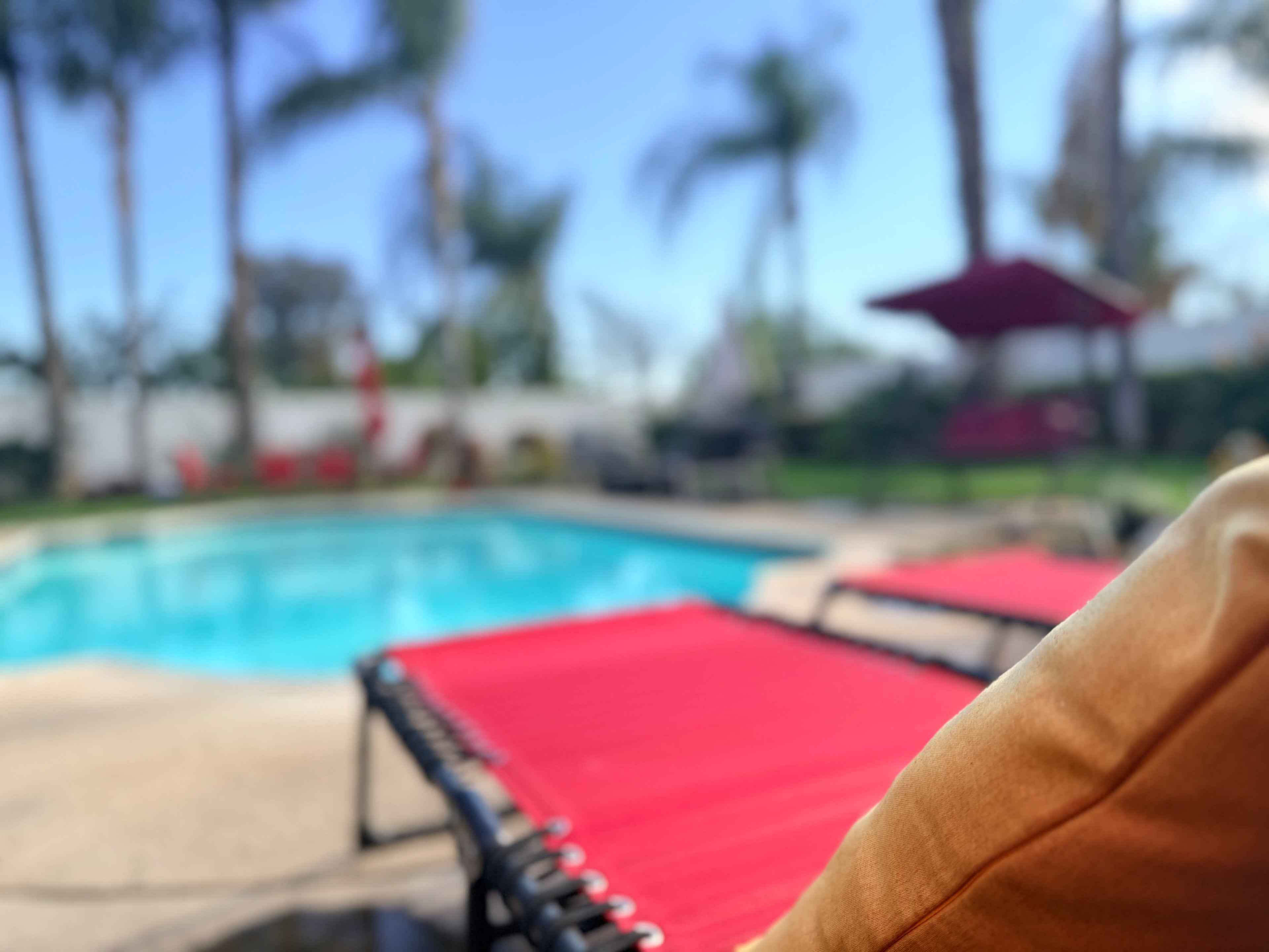 The image shows a swimming pool surrounded by lounge chairs with red fabric, set in a sunny area with palm trees in the background.