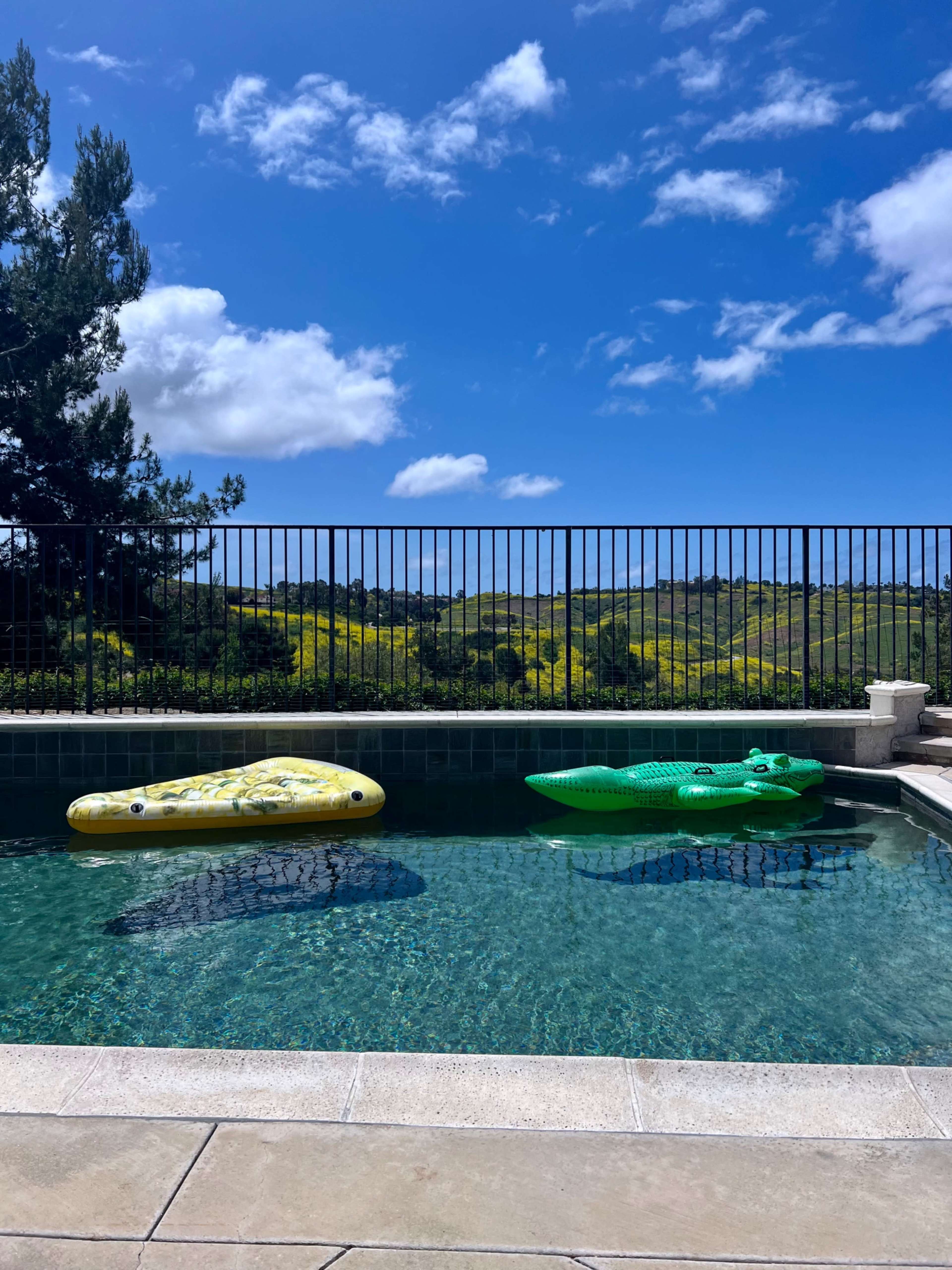 A swimming pool with a yellow float shaped like a banana and a green alligator float, set against a backdrop of hills and a blue sky.
