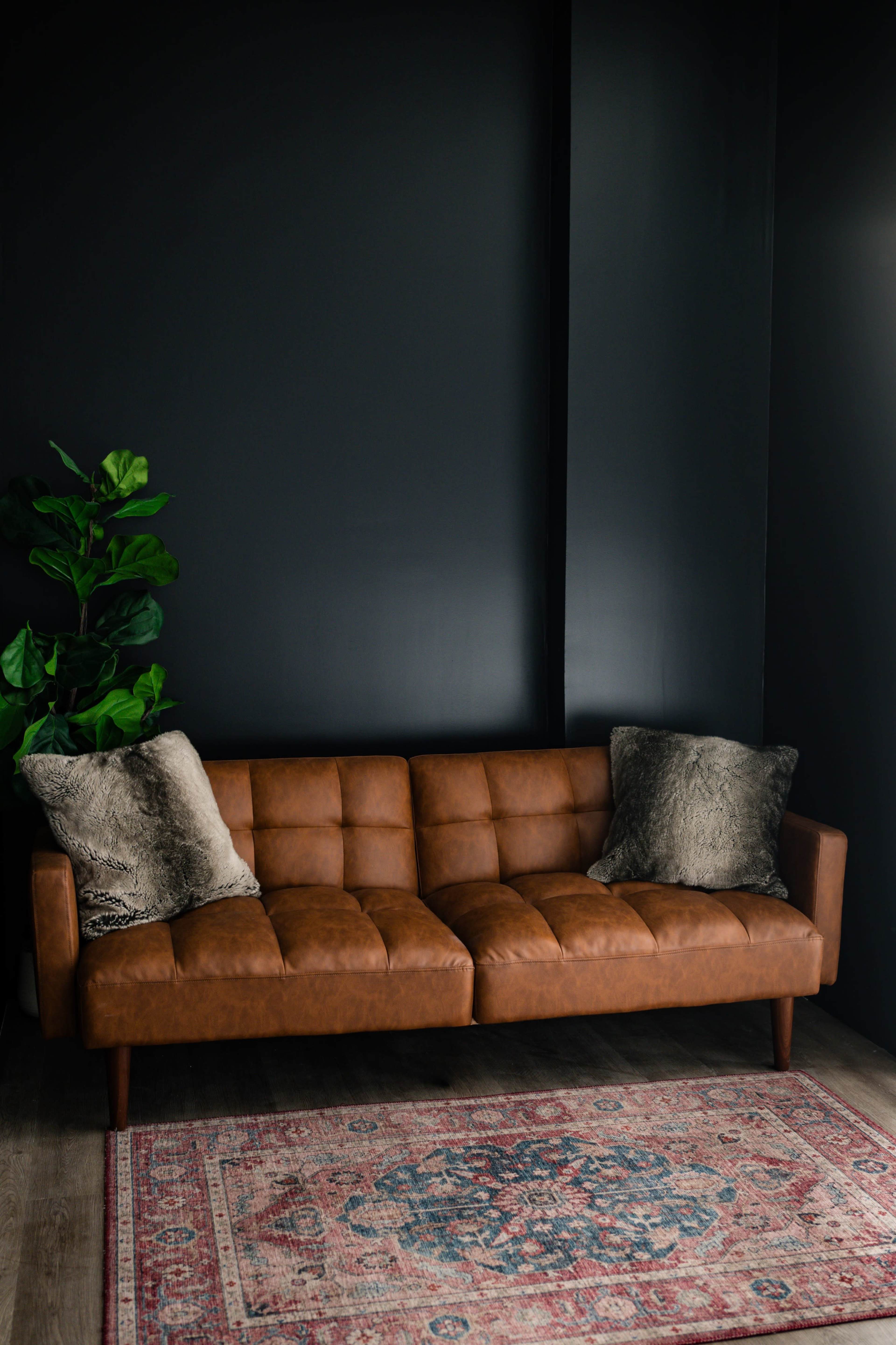 A brown leather sofa with two decorative pillows is positioned against a dark wall, alongside a potted plant and a patterned rug.