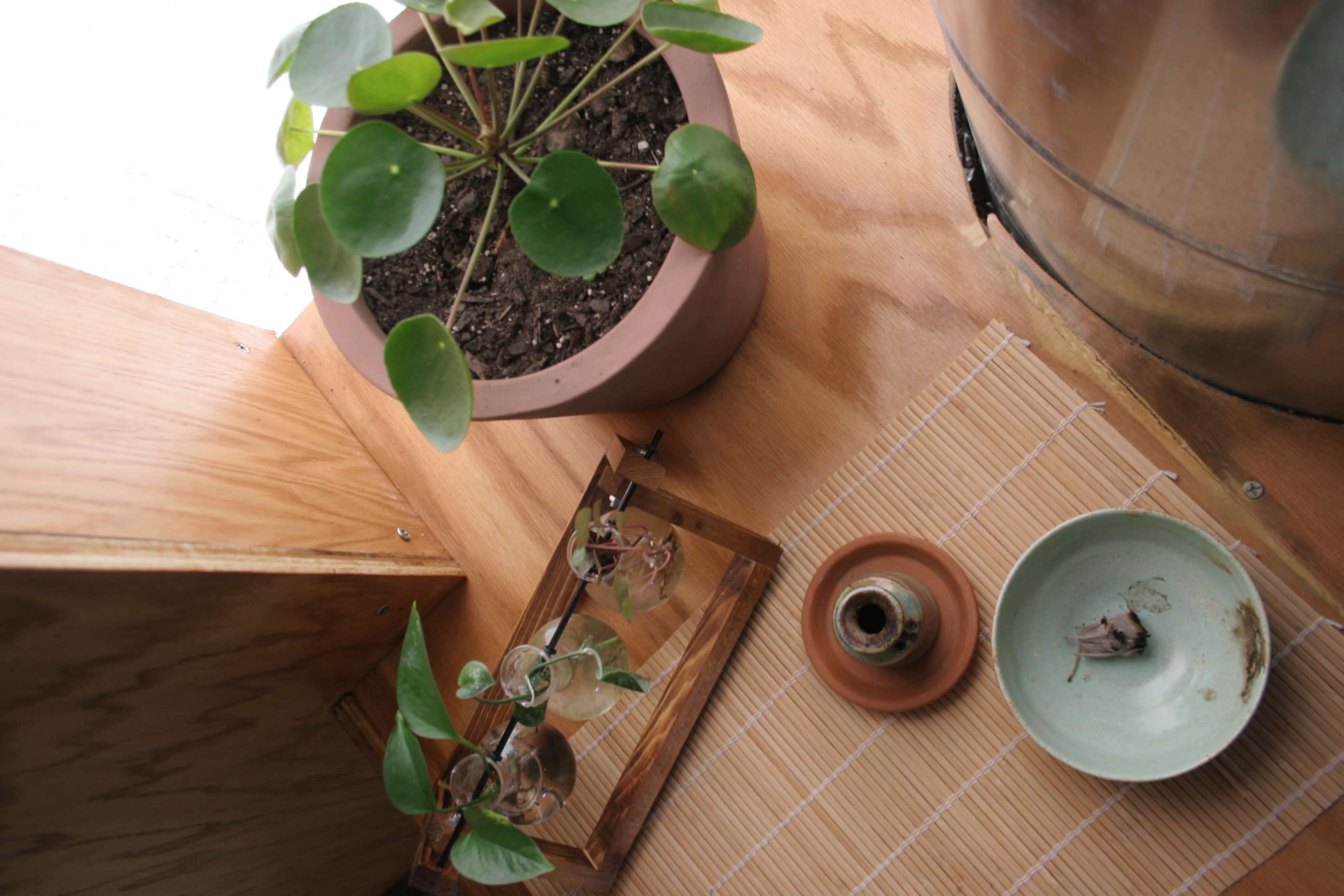 The image shows a wooden surface with a potted plant, a bamboo mat, a shallow bowl, a small pot, and a framed glass container holding smaller plants.