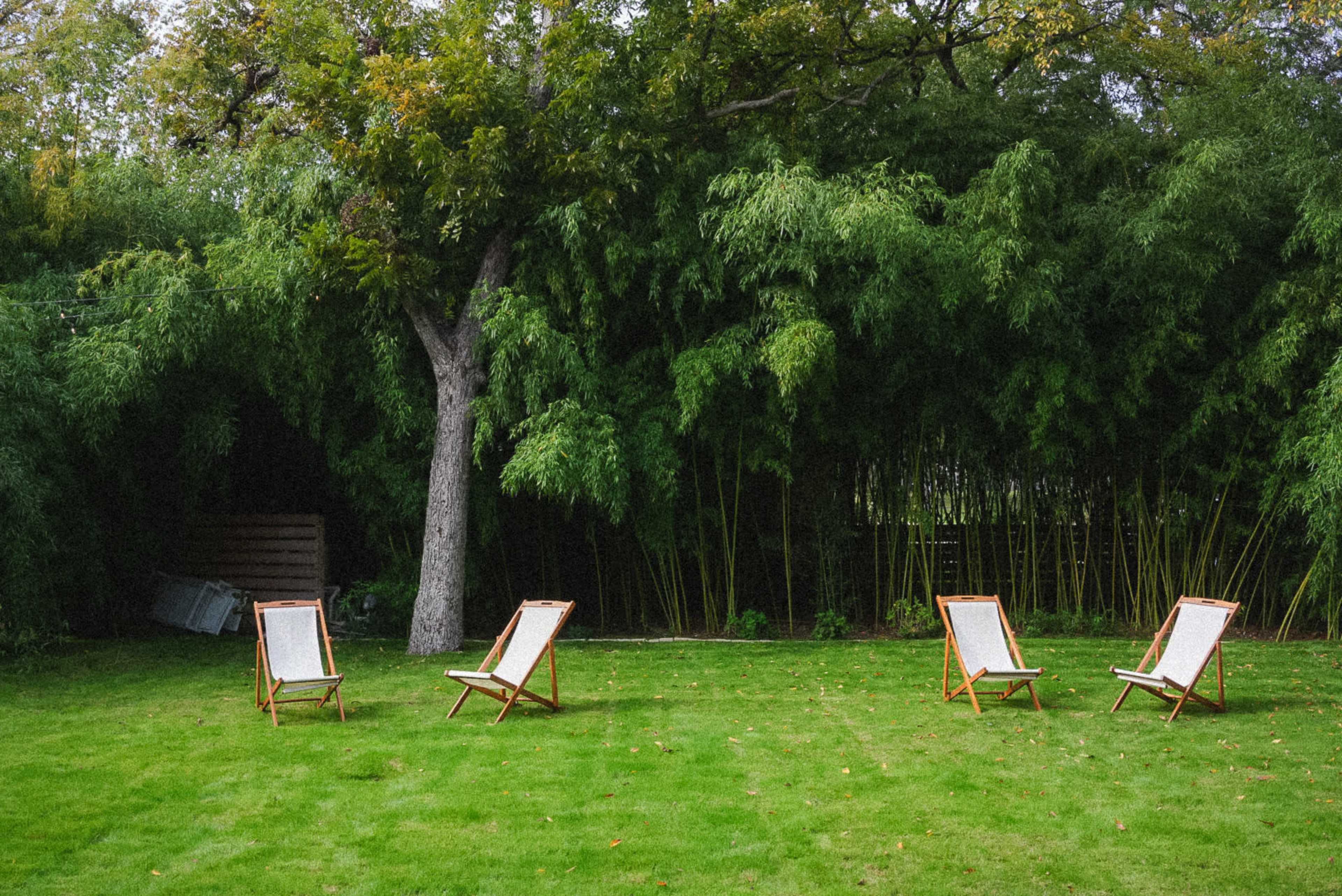 Four wooden lounge chairs are positioned on a grassy area, facing a dense backdrop of green bamboo.