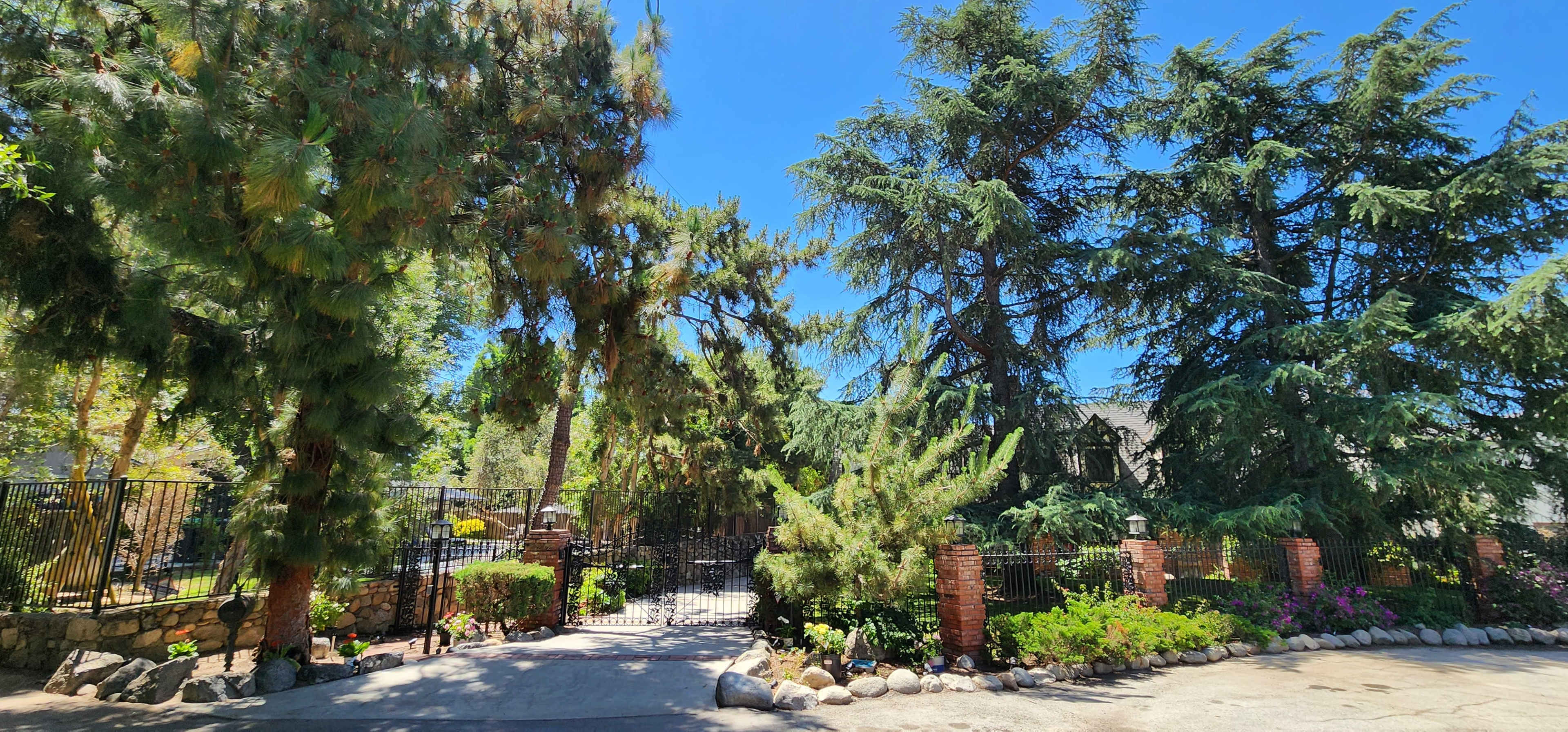 The image shows a landscaped entrance featuring tall trees and manicured shrubs, bordered by a stone wall and a gated path.