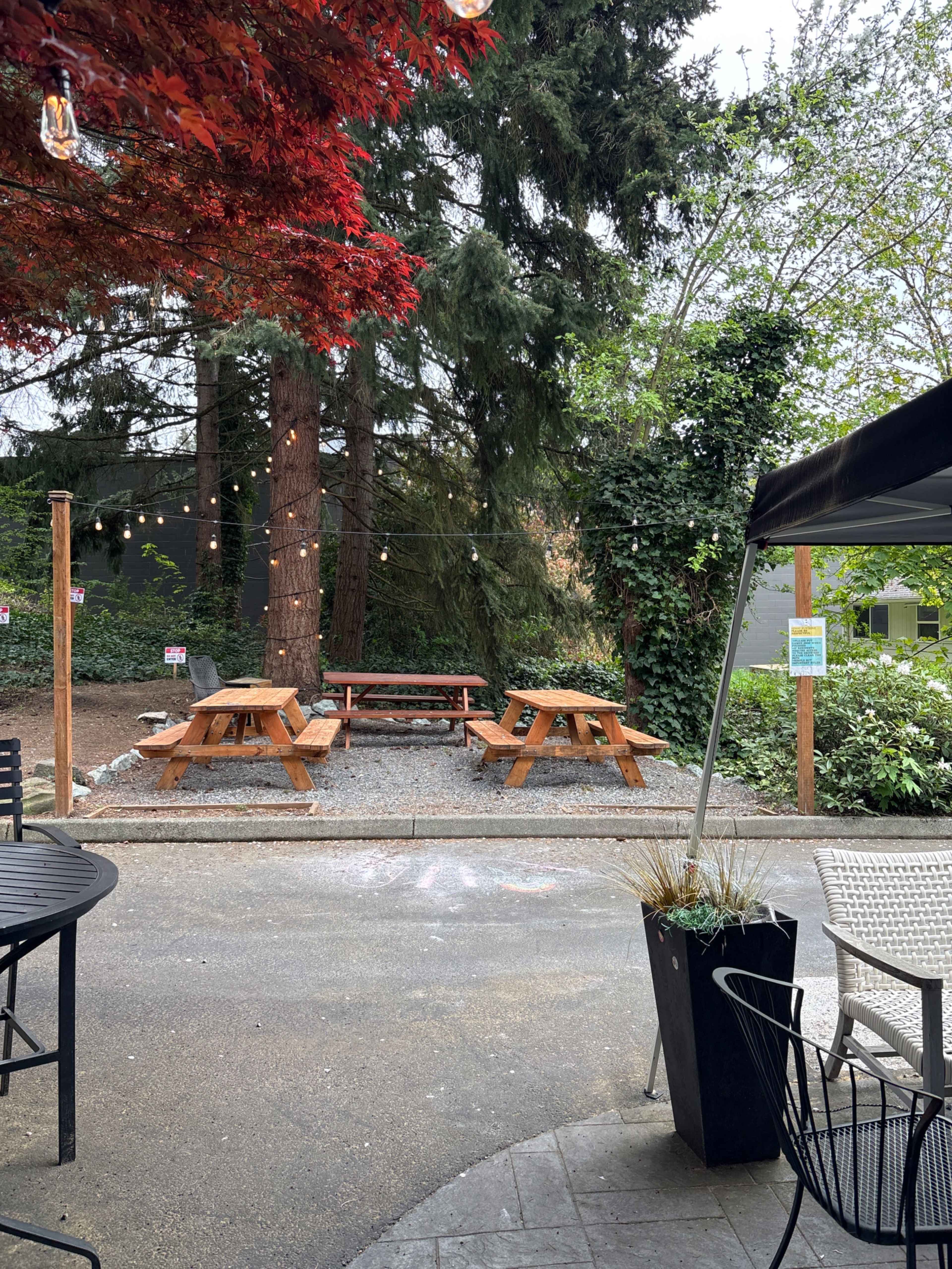 The image shows an outdoor seating area with wooden picnic tables surrounded by trees and greenery, and strung lights overhead.
