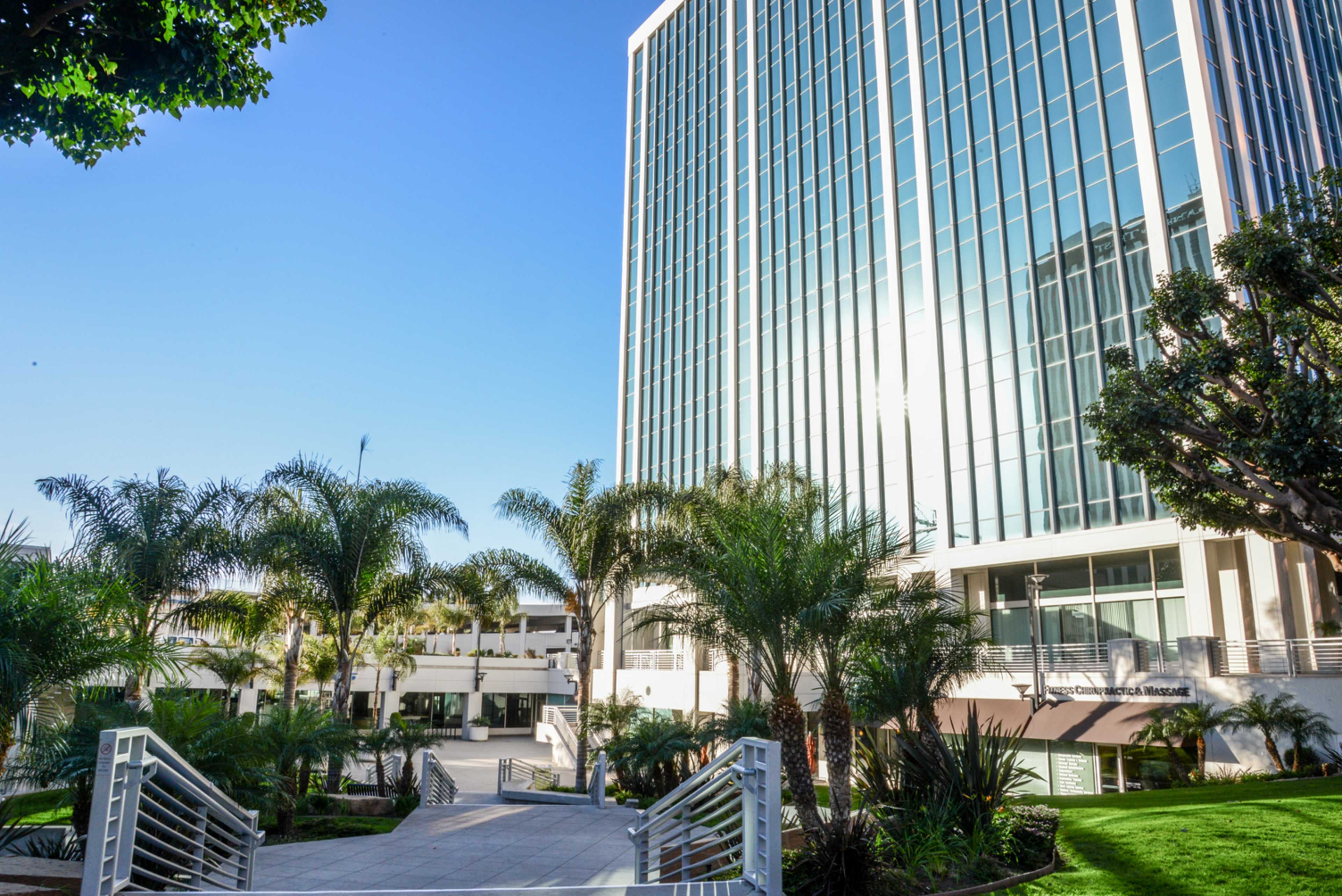 A modern building with large glass windows surrounded by palm trees and landscaped pathways.