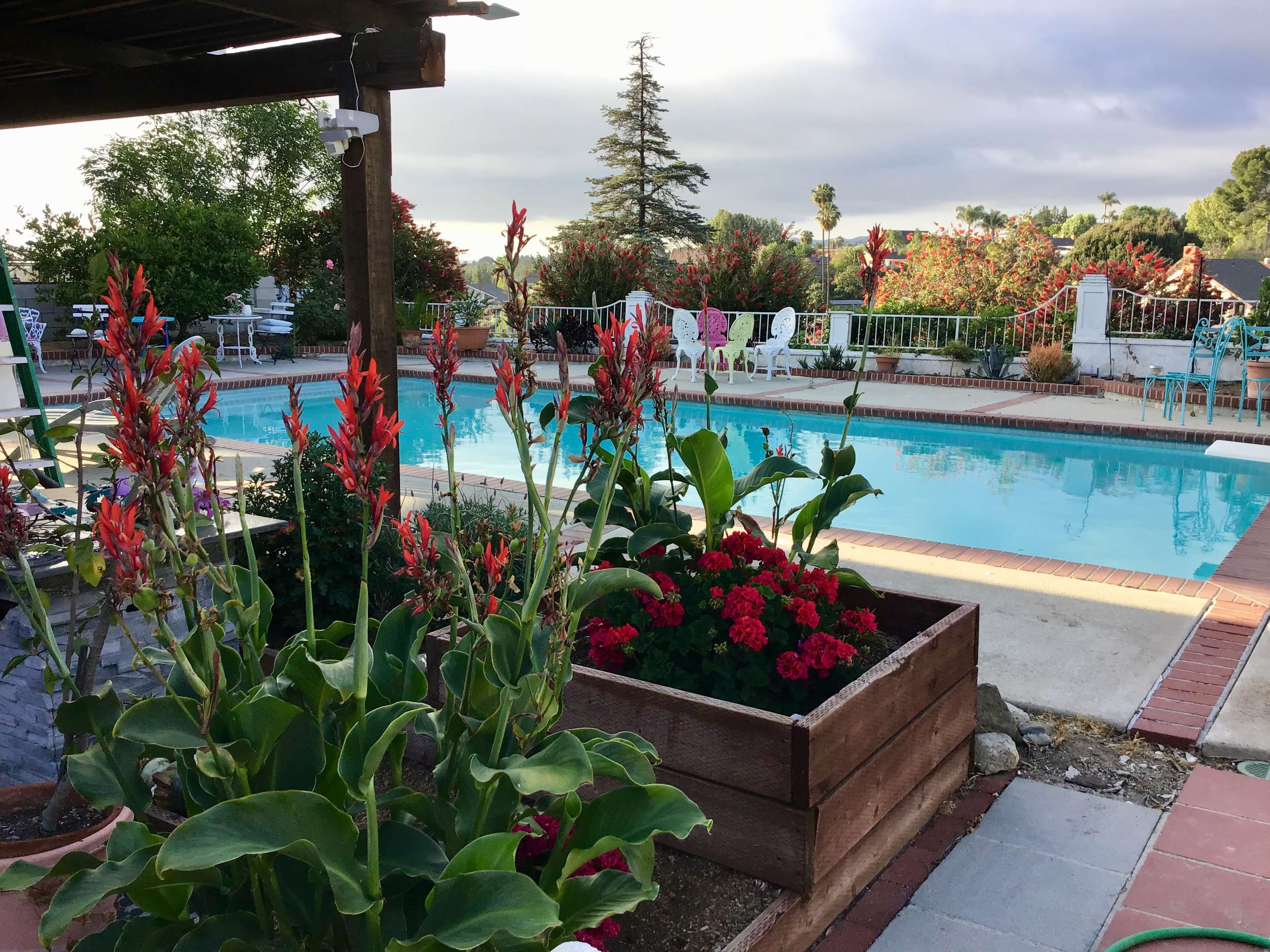 The scene shows a swimming pool surrounded by flower beds and lounge chairs under a cloudy sky.