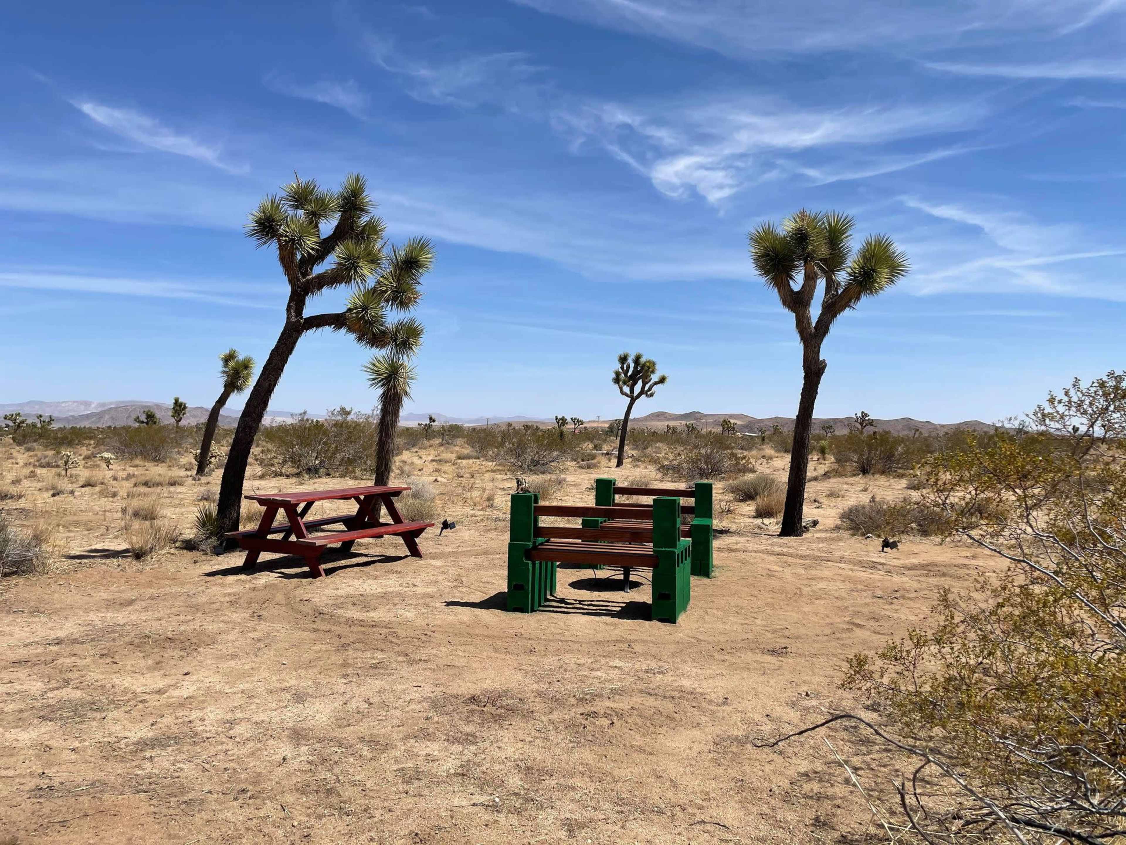 A picnic area with red and green benches and a table is surrounded by desert vegetation and Joshua trees under a blue sky.