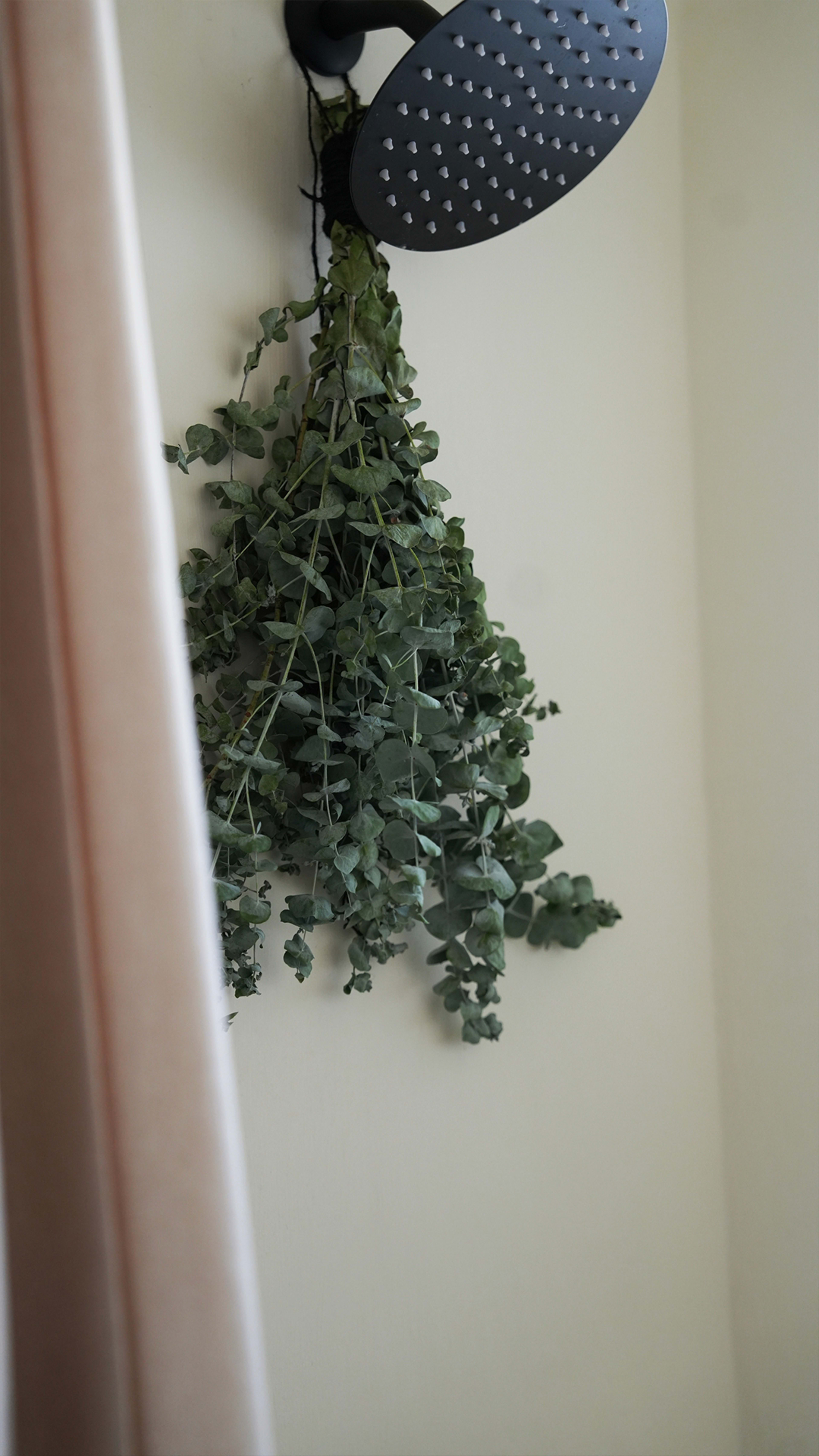 Desert Modern | Serene Escape with Designer Interiors & Sweeping Views Tucked away on a peaceful 2.7-acre lot Image in Homestead Valley, Yucca Valley, CA