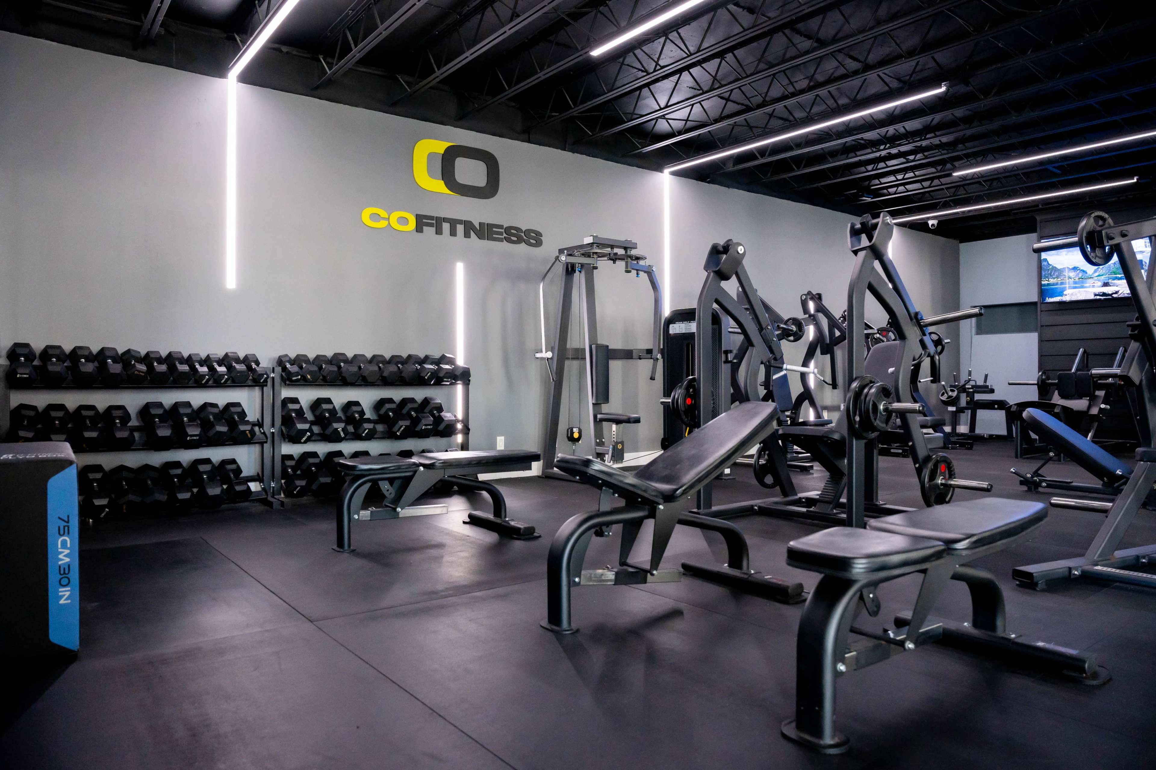 The image shows a modern gym interior with weightlifting equipment, free weights on racks, and a wall-mounted television.