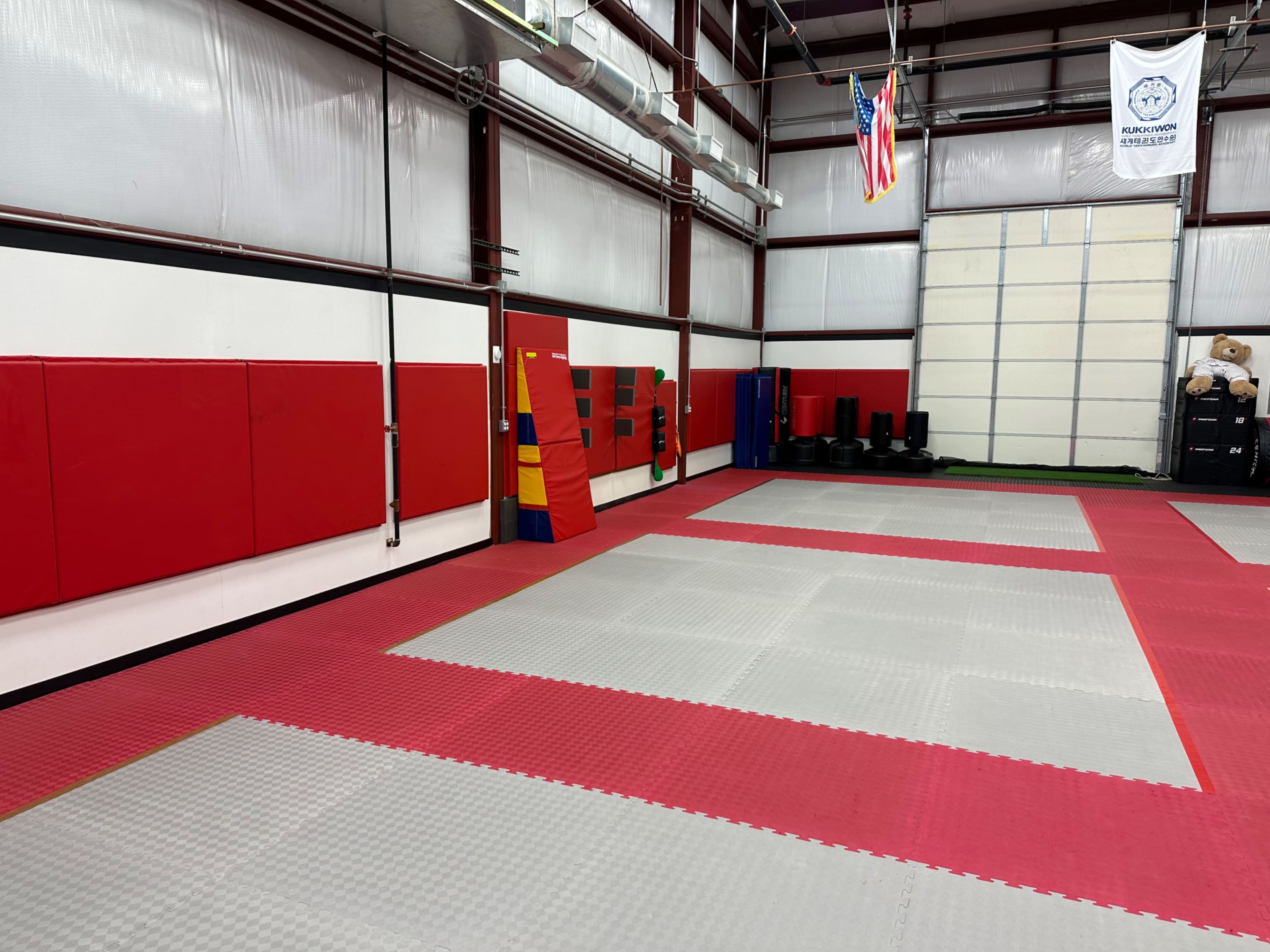A martial arts training facility with red and gray mats, padded walls, and various training equipment in the background.