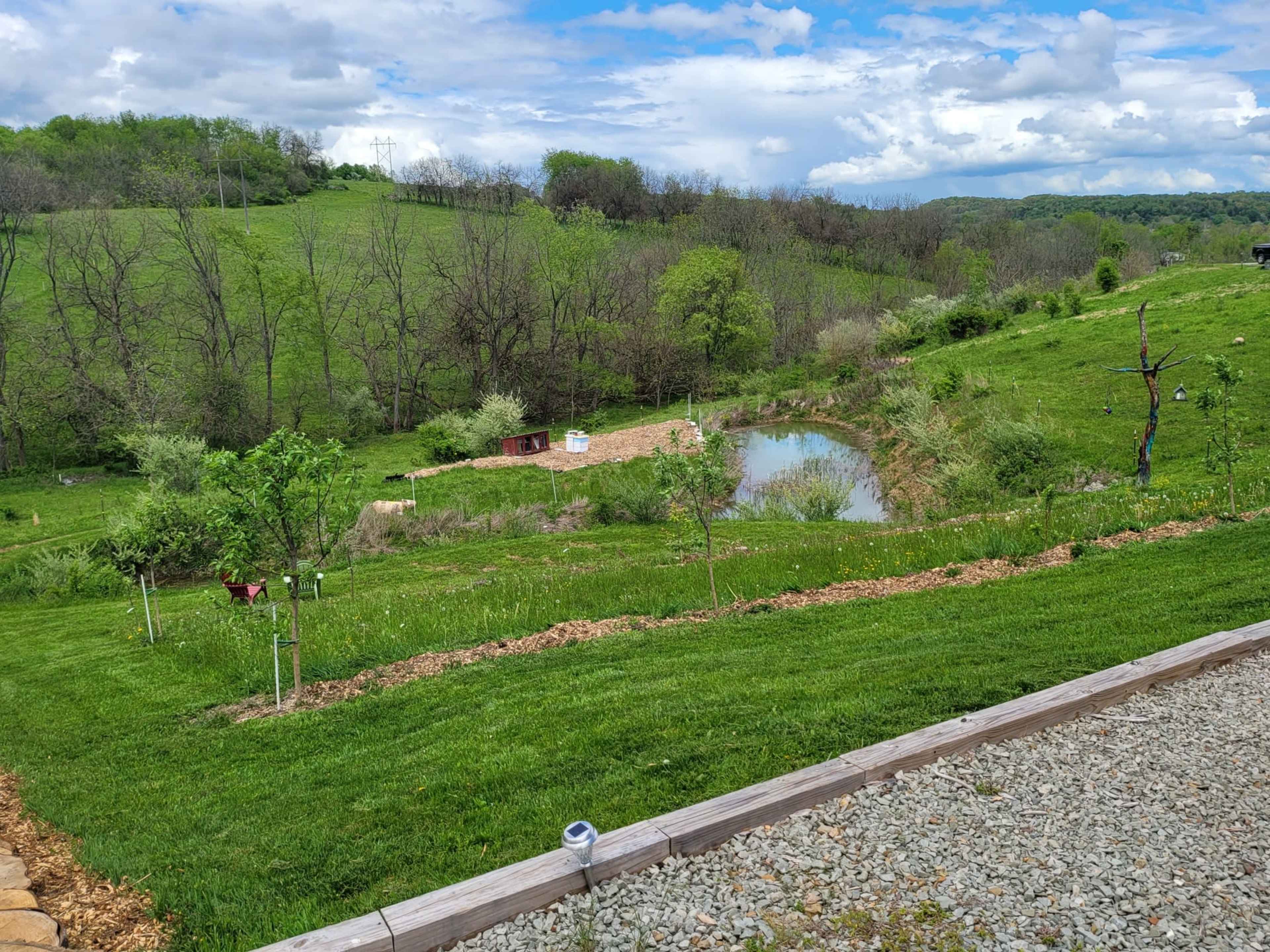 The image shows a green hillside with a pond surrounded by trees and foliage under a partly cloudy sky.